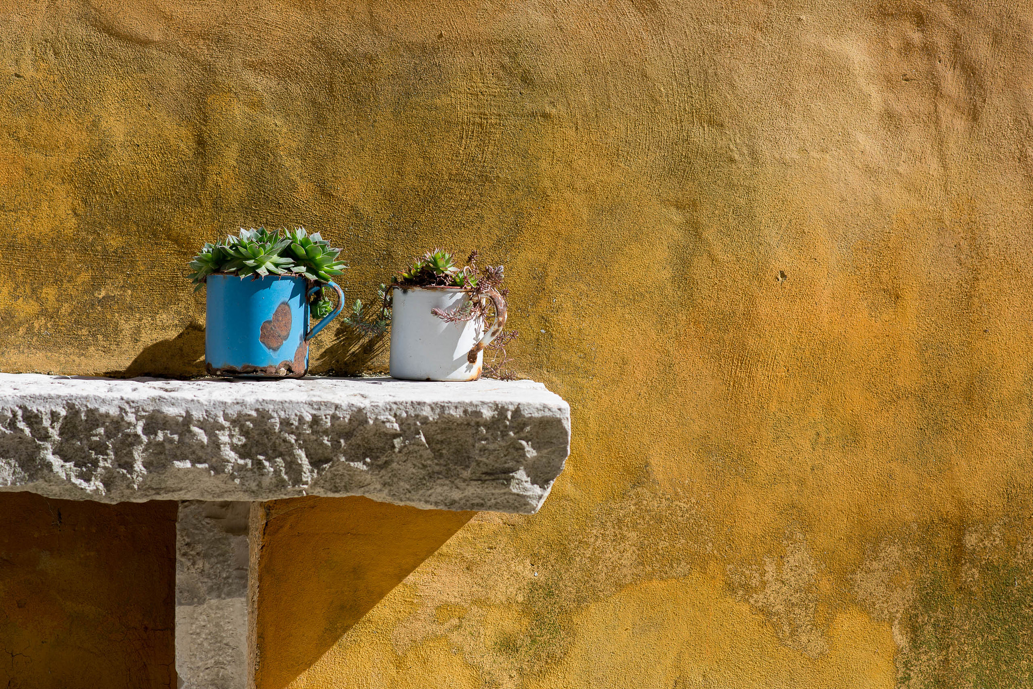 Nikon D600 + Nikon AF-S Nikkor 85mm F1.8G sample photo. Istria photography
