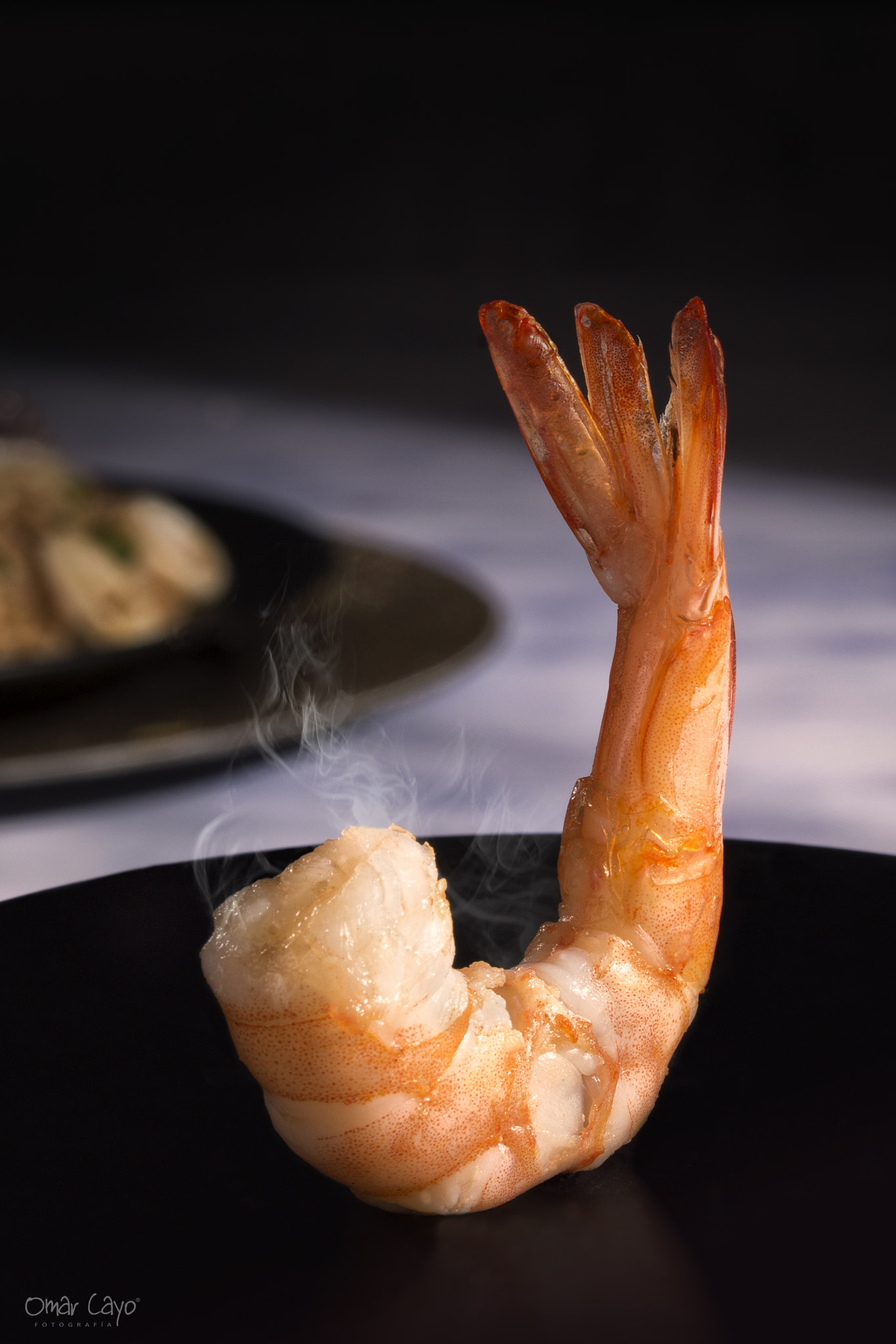 Canon EF-S 60mm F2.8 Macro USM sample photo. Langostino photography