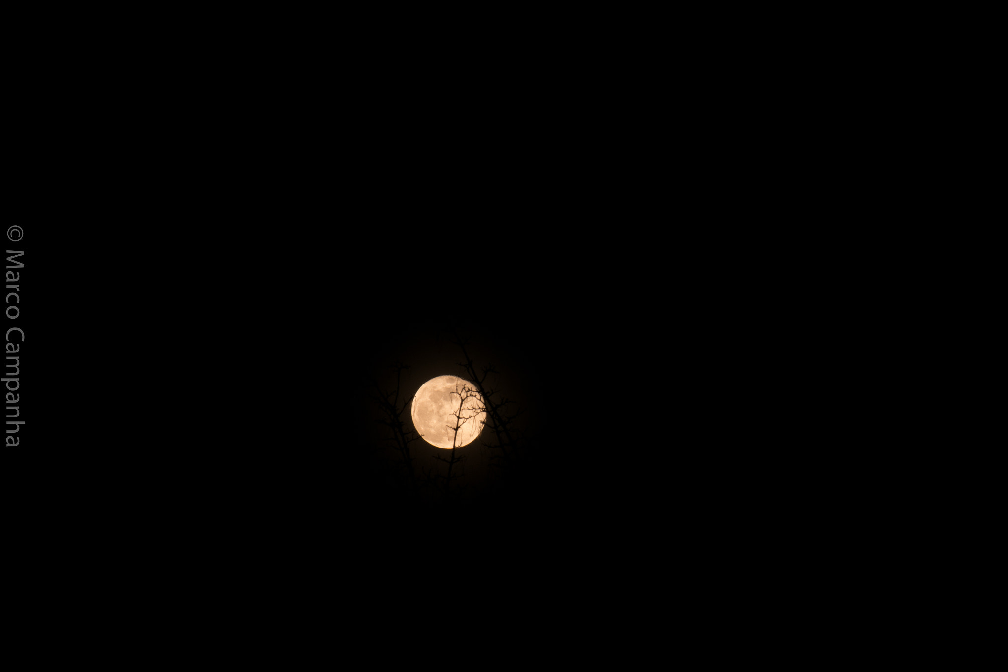 Samsung NX1100 sample photo. Moon photography