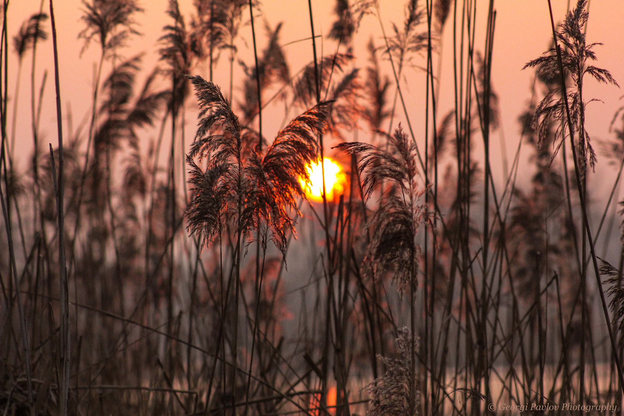 Canon EOS 550D (EOS Rebel T2i / EOS Kiss X4) + EF75-300mm f/4-5.6 sample photo. Beautiful sunrise in poland photography