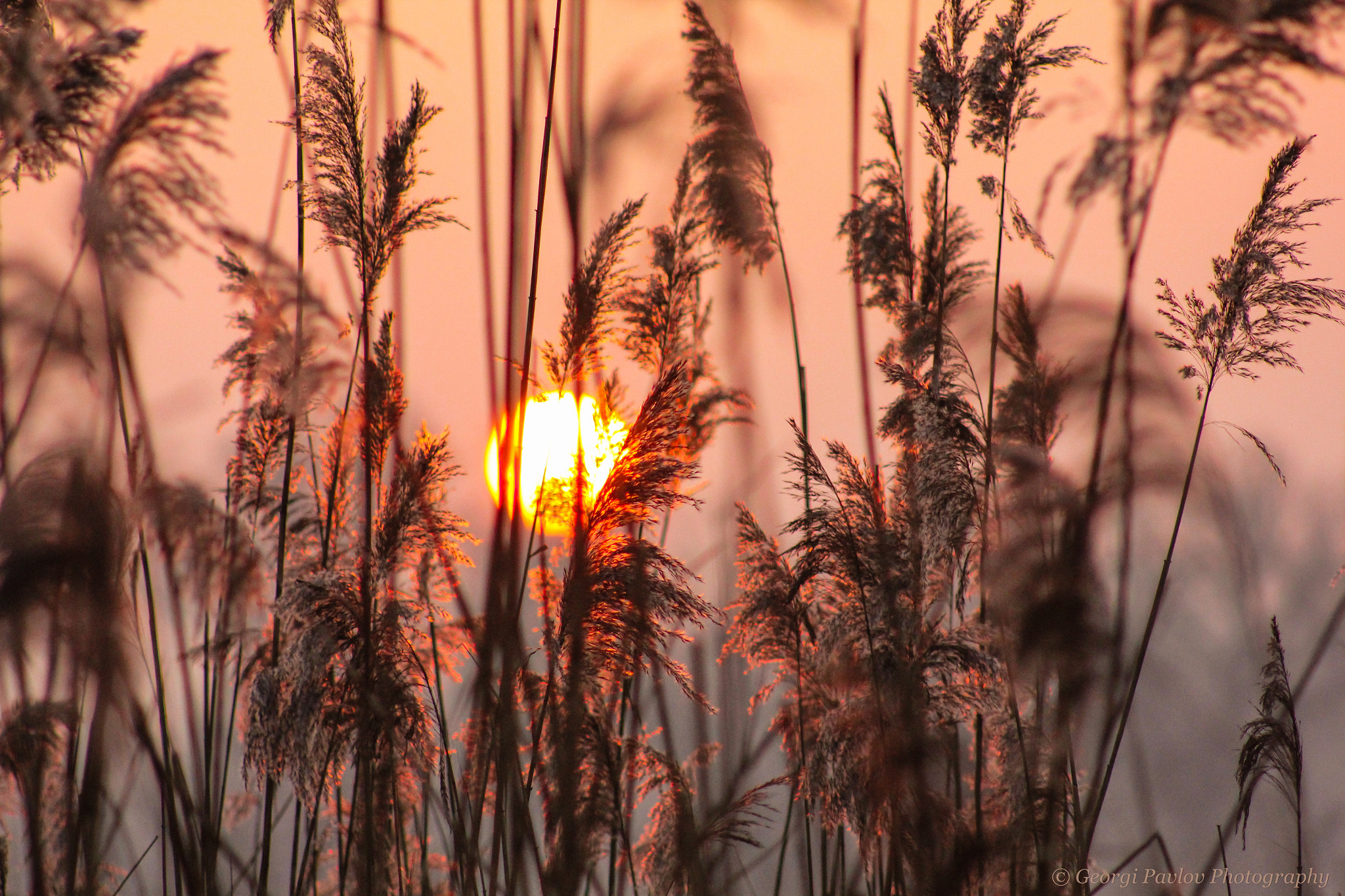 Canon EOS 550D (EOS Rebel T2i / EOS Kiss X4) + EF75-300mm f/4-5.6 sample photo. Beautiful sunrise in poland photography