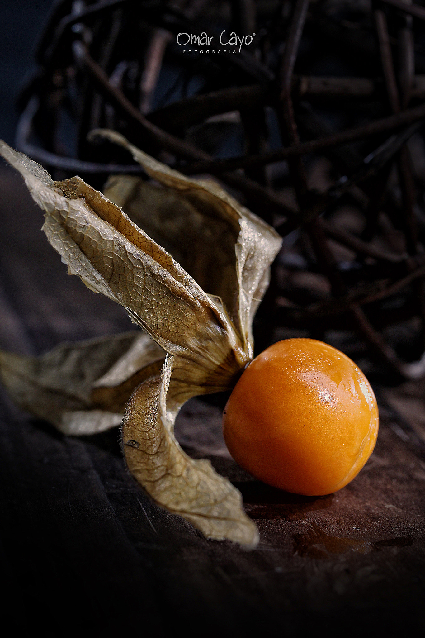 Canon EF-S 60mm F2.8 Macro USM sample photo. Aguaymanto photography