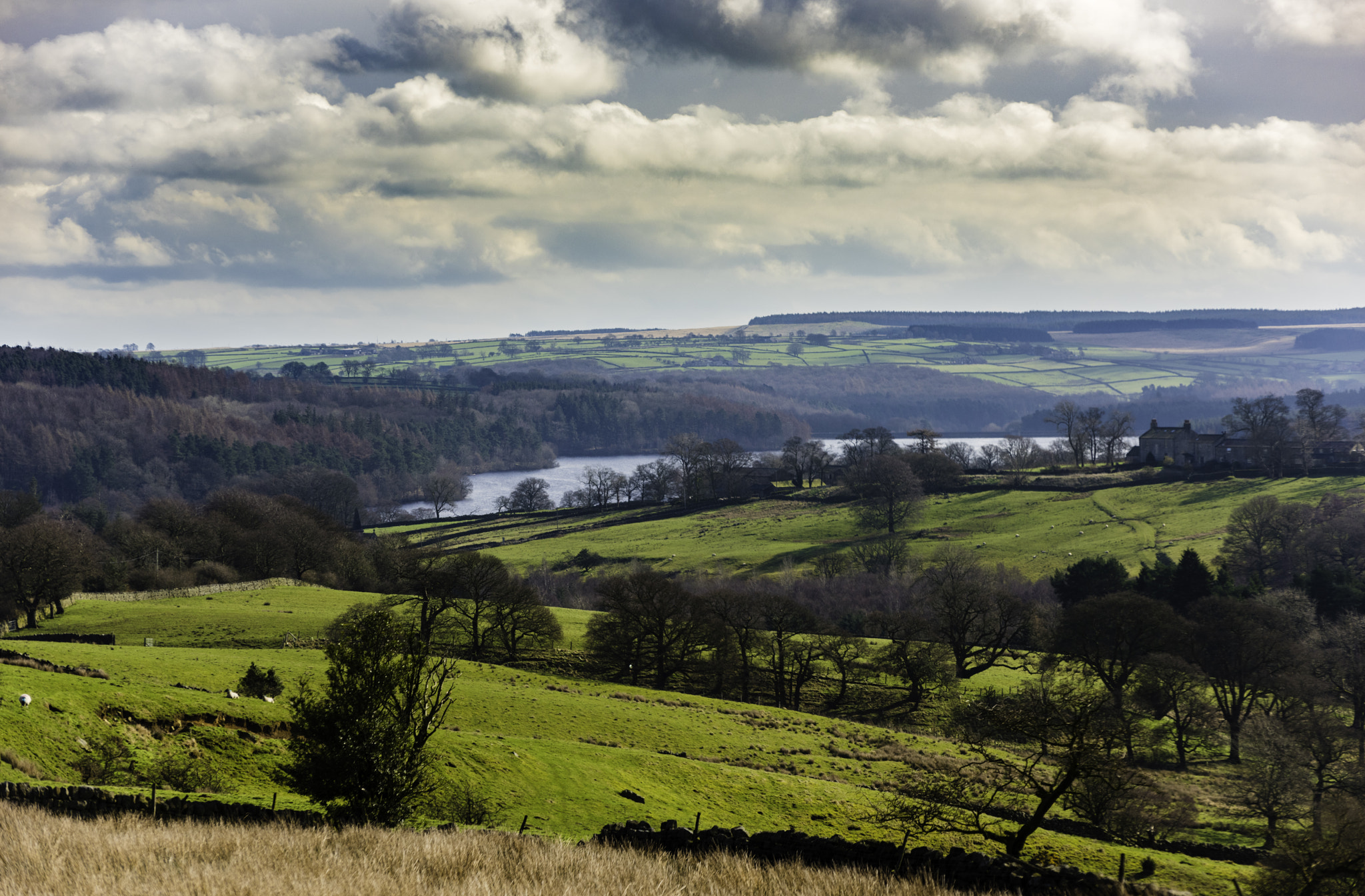 Nikon D810 sample photo. Fewston photography