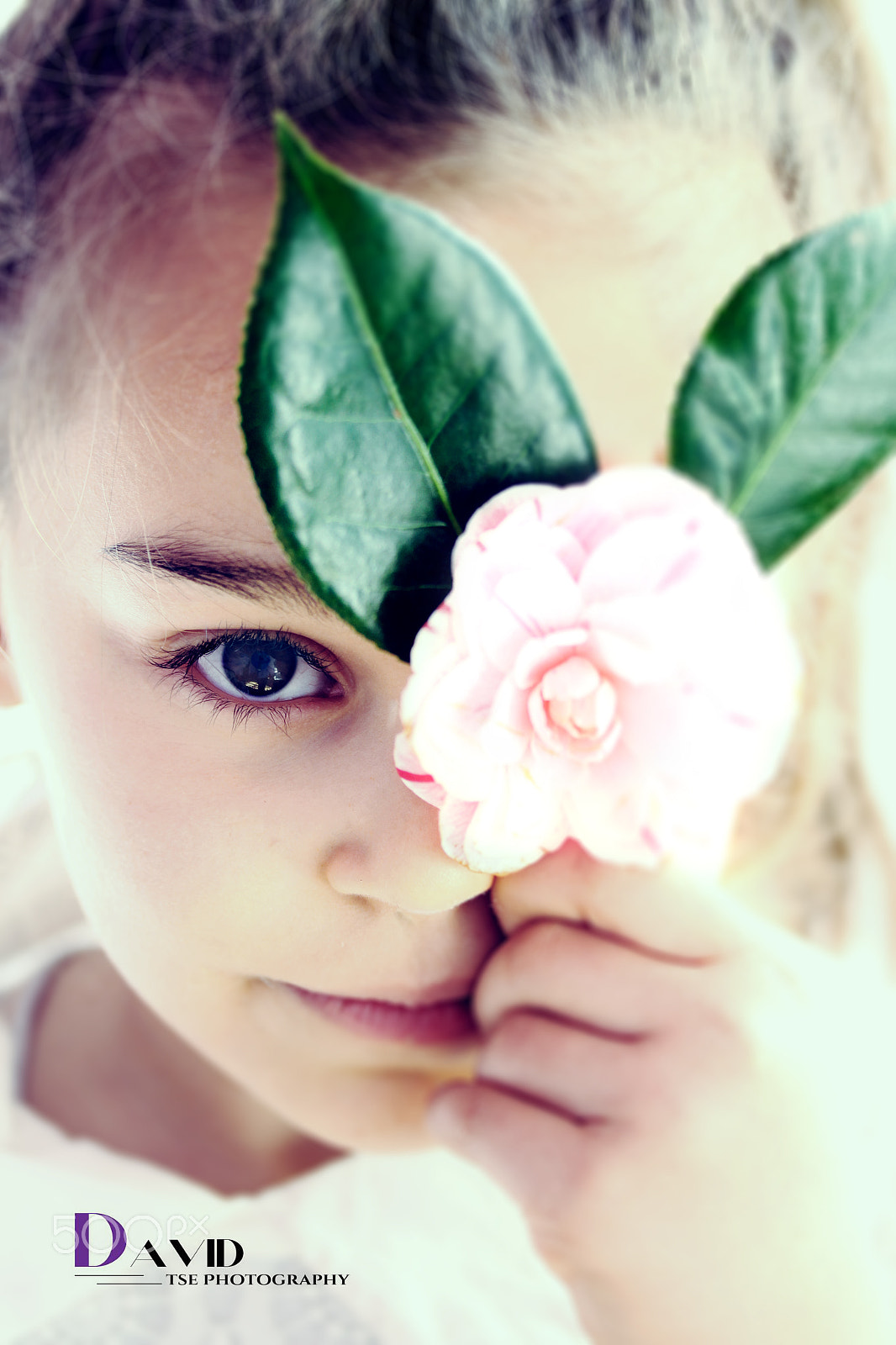 Canon EF-S 60mm F2.8 Macro USM sample photo. Ana photography
