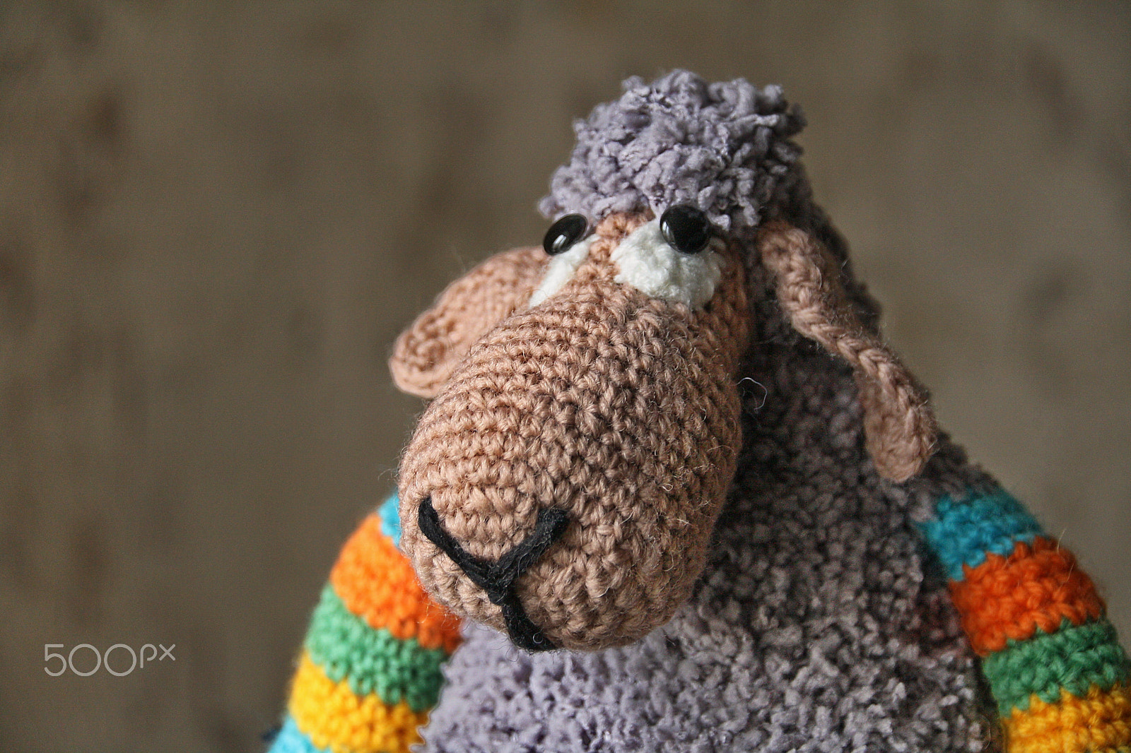 Canon EOS 1000D (EOS Digital Rebel XS / EOS Kiss F) + Sigma 18-200mm f/3.5-6.3 DC OS HSM [II] sample photo. Portrait of a crocheted sheep photography