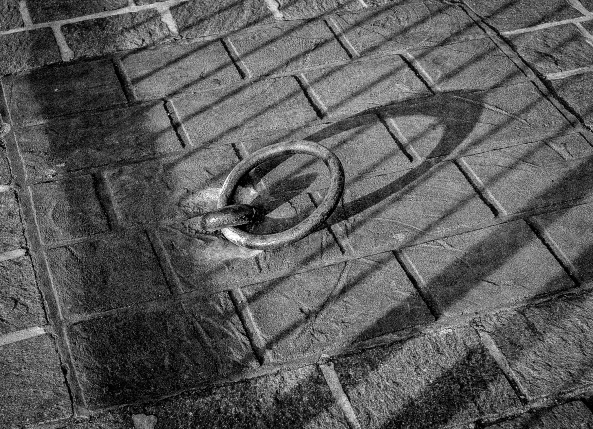 Fujifilm X-Pro1 + Fujifilm XF 35mm F1.4 R sample photo. Docking ring photography