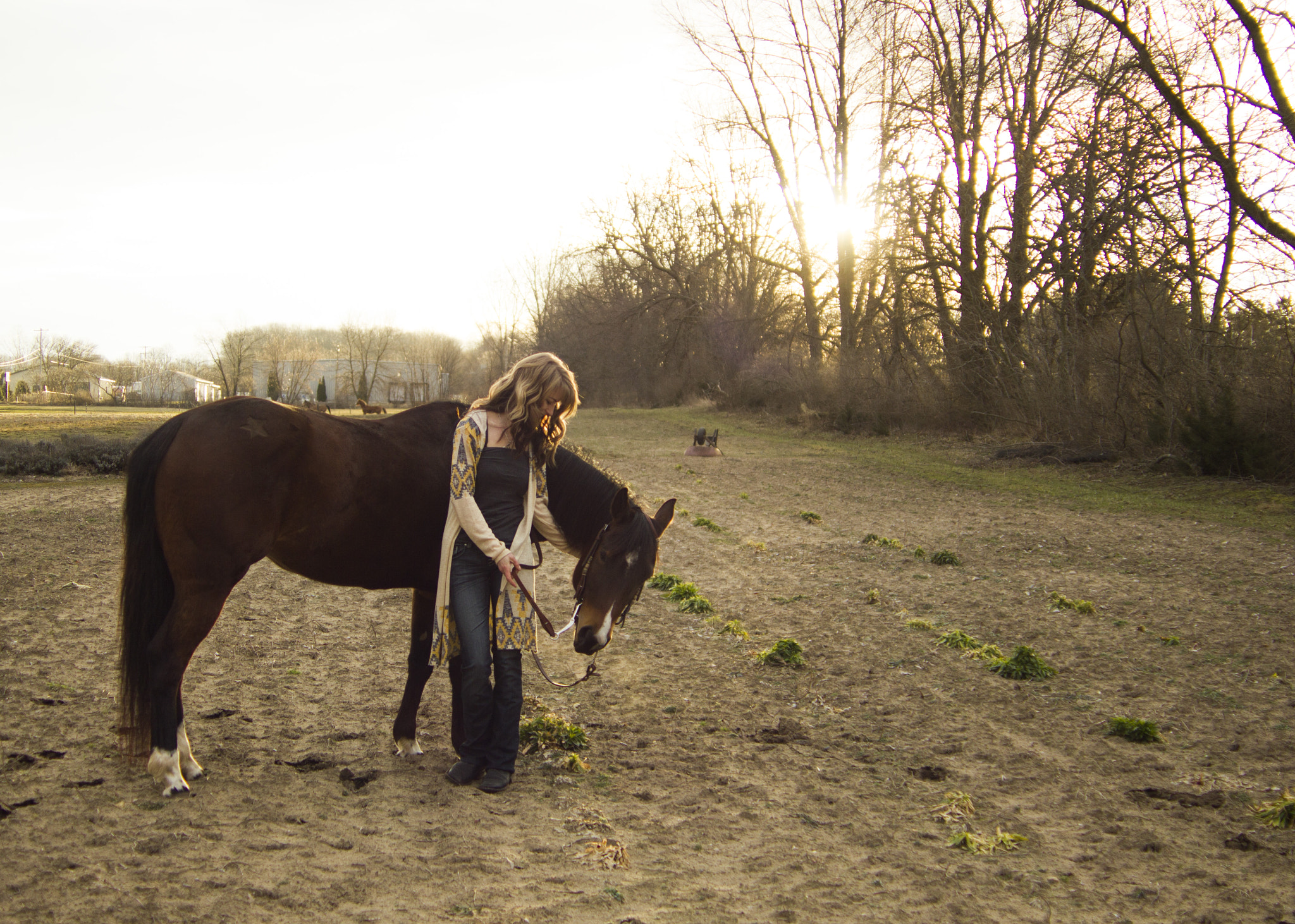 Canon EF 35-80mm f/4-5.6 sample photo. My horse photography