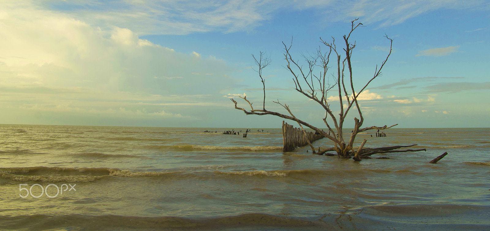 Canon EOS 550D (EOS Rebel T2i / EOS Kiss X4) sample photo. Holbox mexico() photography