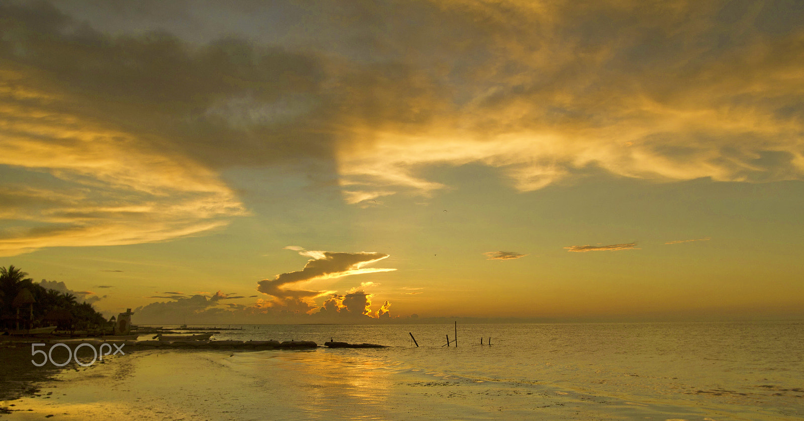 Canon EOS 550D (EOS Rebel T2i / EOS Kiss X4) sample photo. Holbox mexico() photography