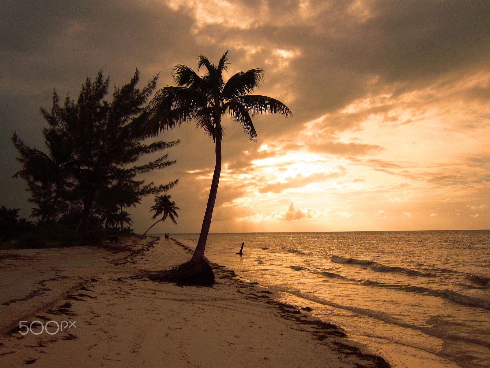 Canon PowerShot A3300 IS sample photo. Islaholbox mexico() photography