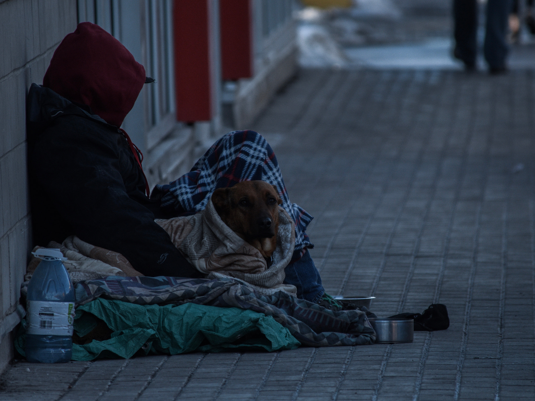 Nikon D3400 sample photo. This photo was taken manually: photography