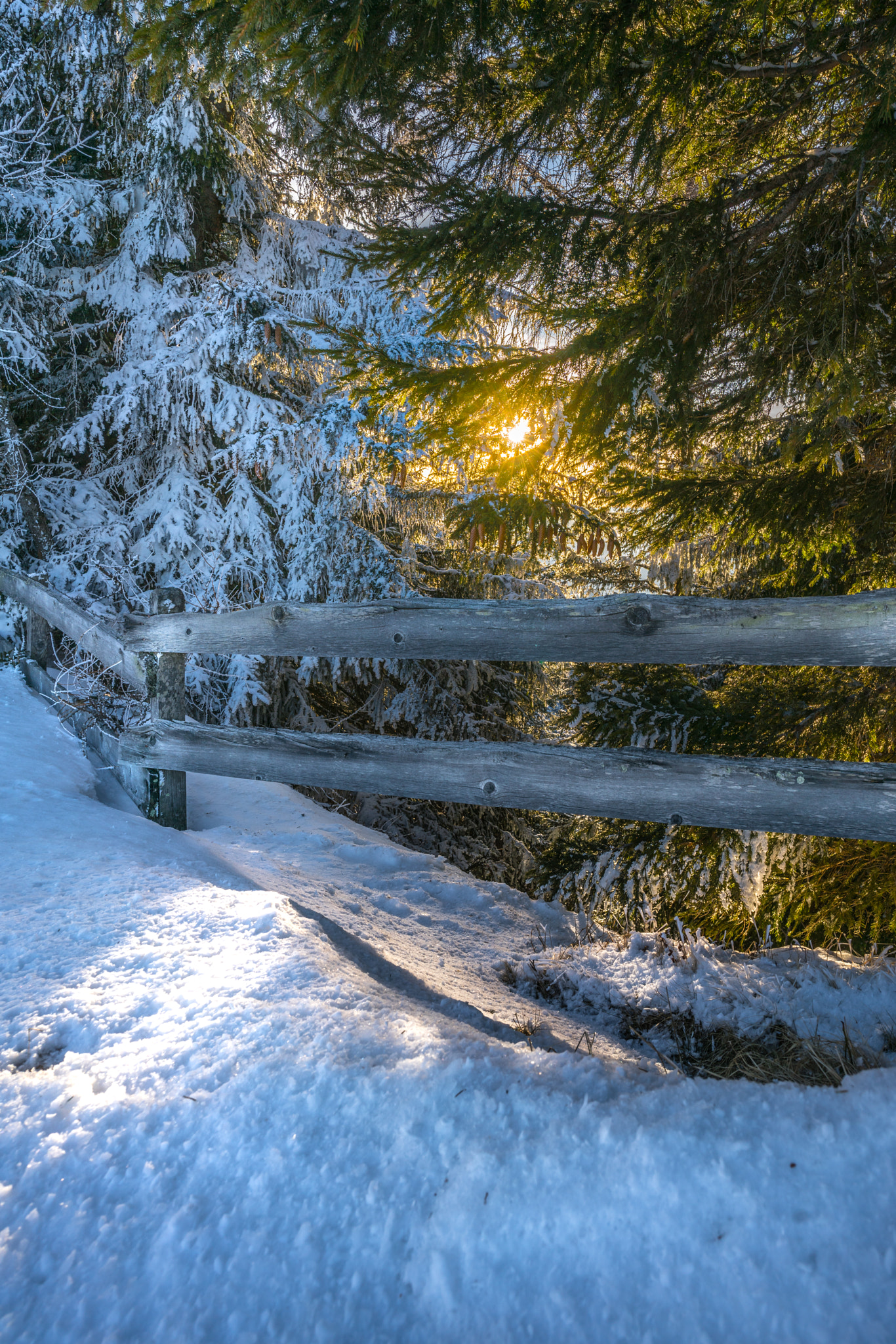 ZEISS Batis 18mm F2.8 sample photo. Winterstimmung photography