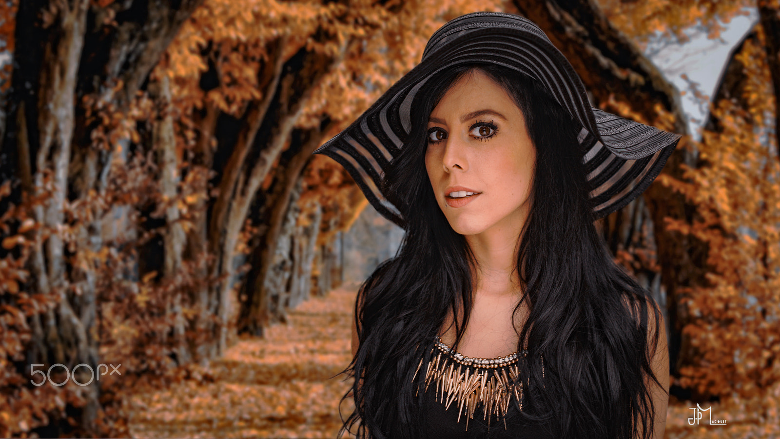 Canon EF 40mm F2.8 STM sample photo. Fall photography