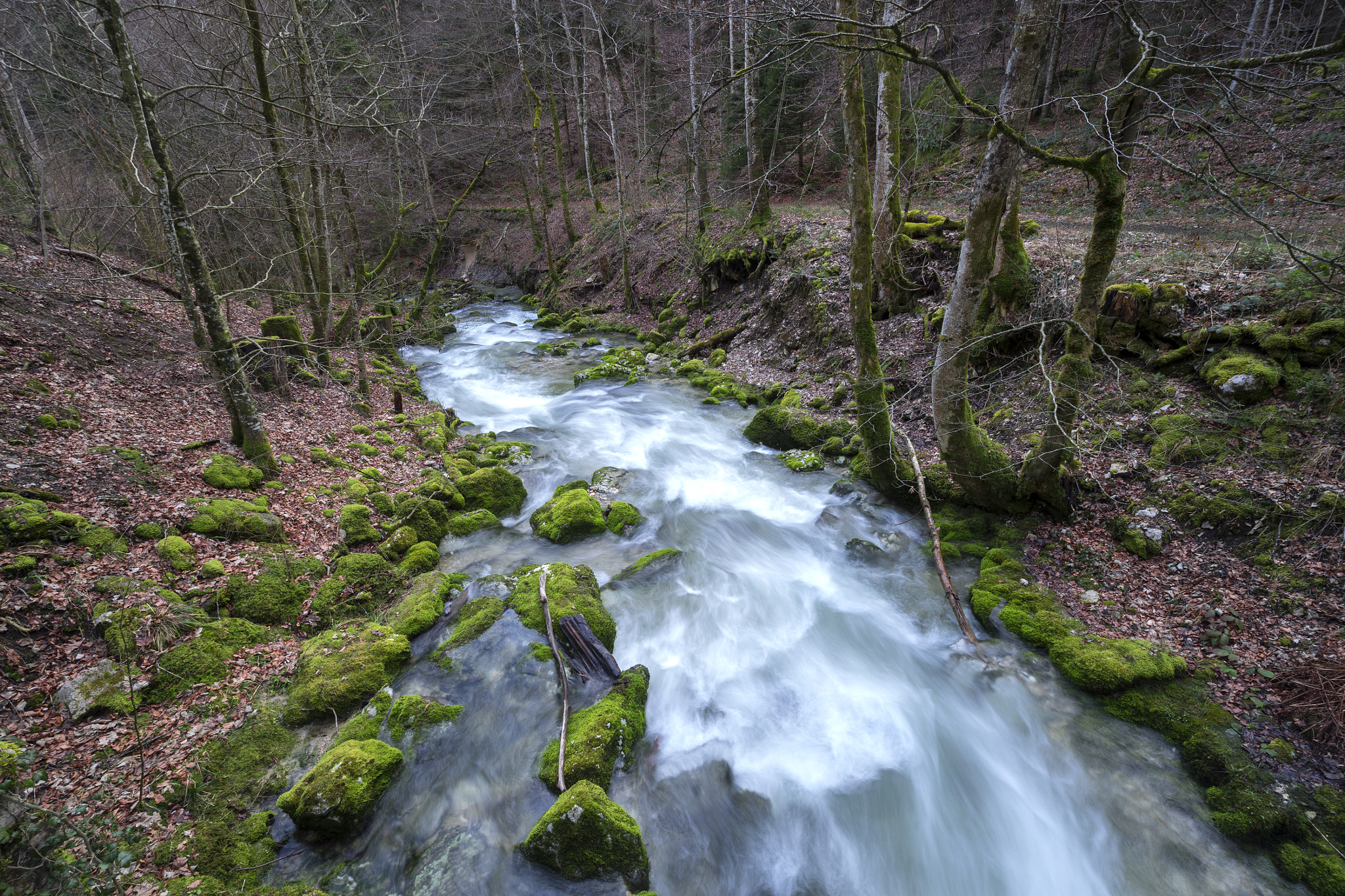 Sony a7 sample photo. Torrent photography