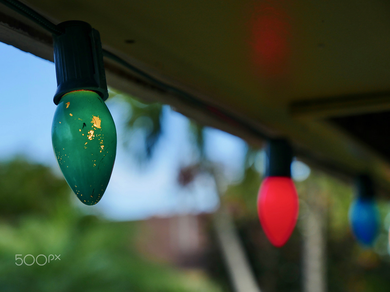 Panasonic Lumix G X Vario 12-35mm F2.8 ASPH Power OIS sample photo. Palm christmas photography