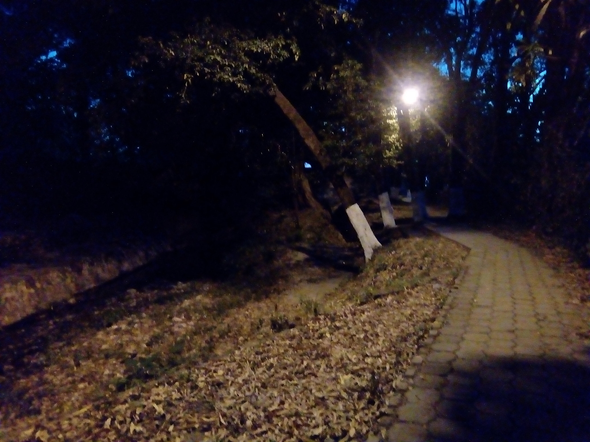 ZTE Blade V6 Max sample photo. Night  photography