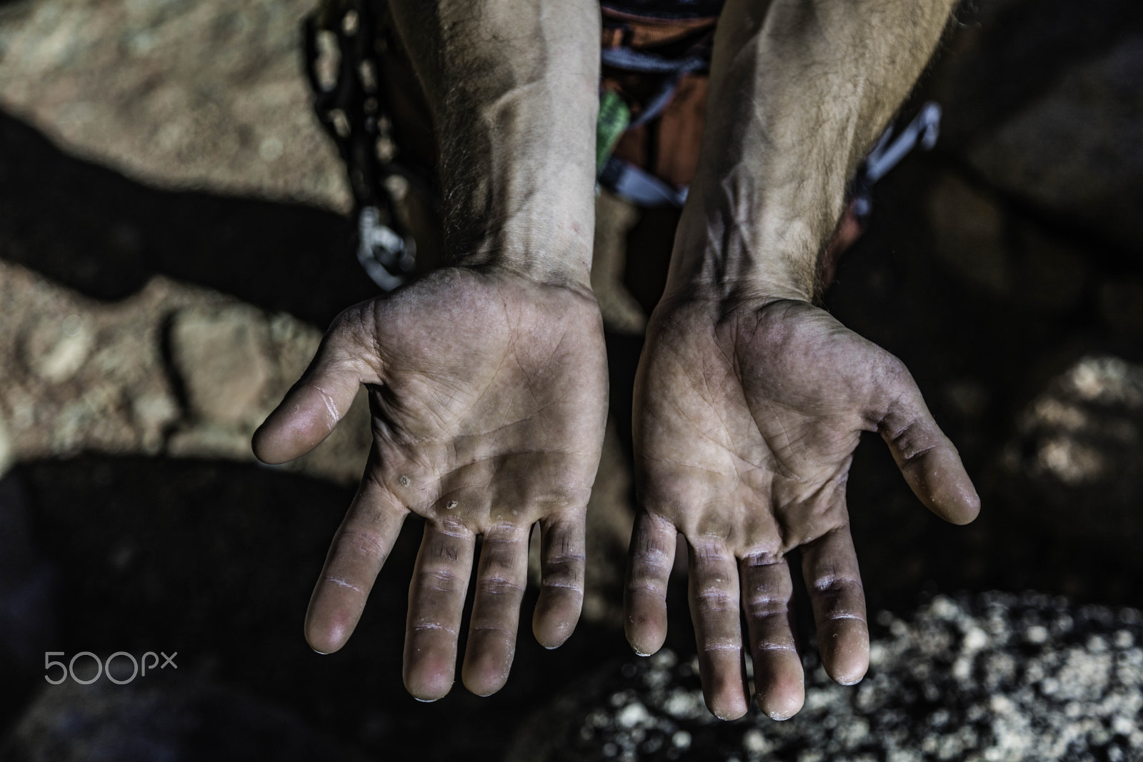 Canon EOS 5DS R + Canon EF 24-105mm F4L IS USM sample photo. Rock climber's hands photography