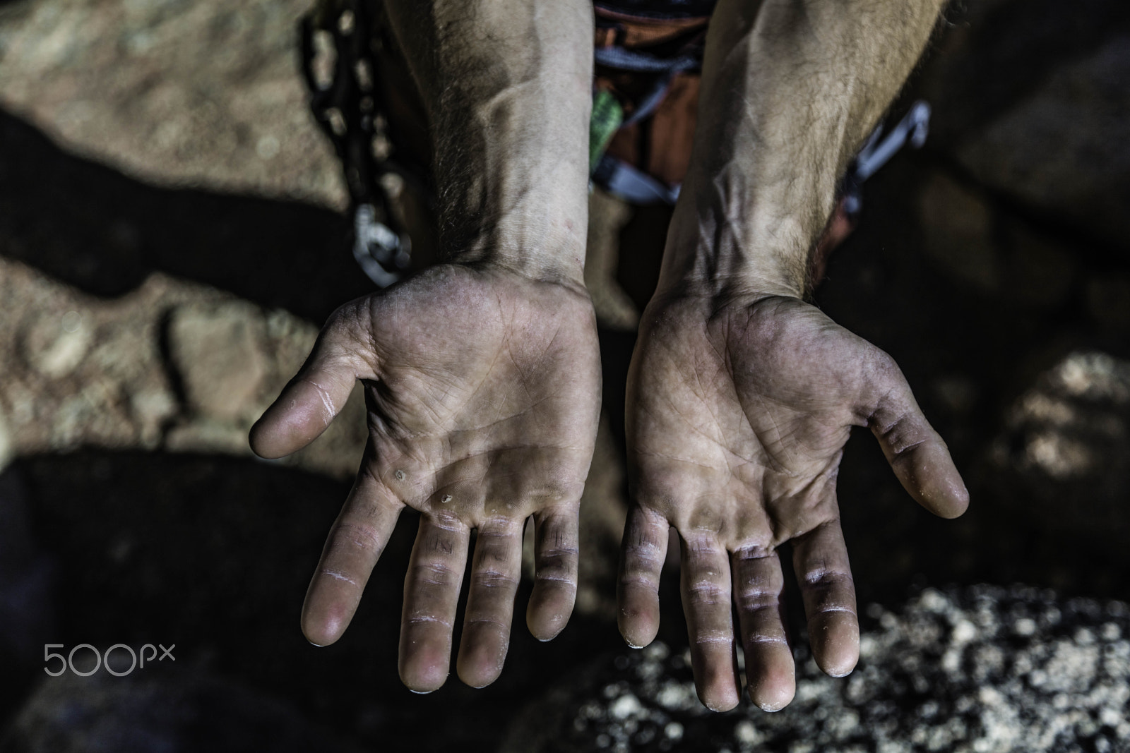 Canon EOS 5DS R sample photo. Rock climber's hands photography