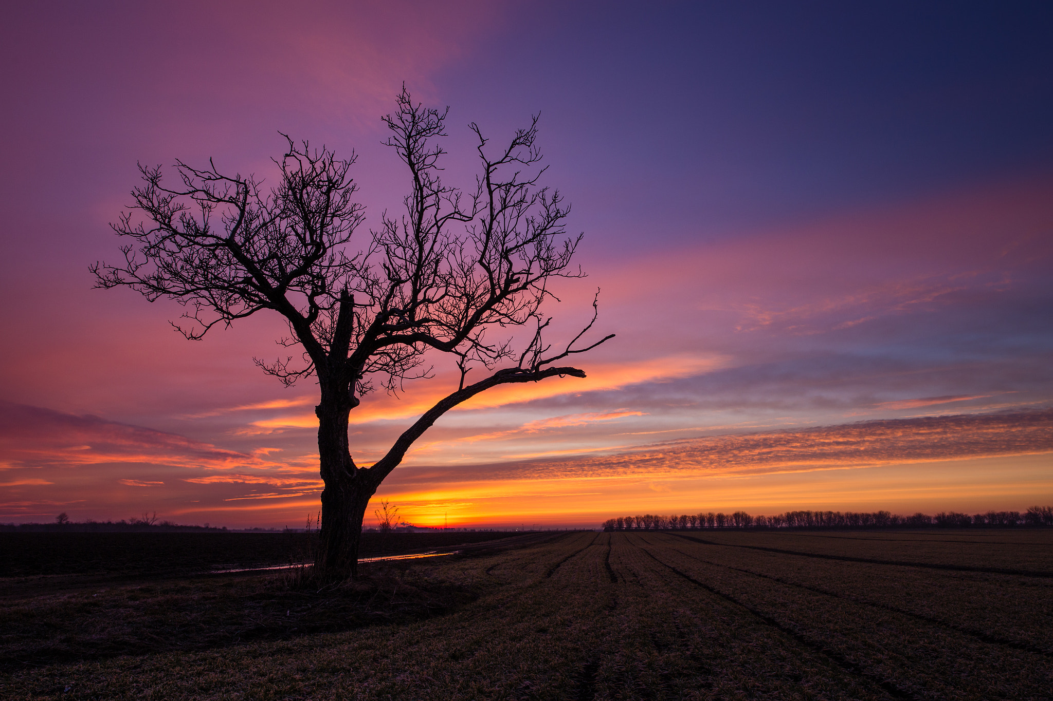 Canon EOS 6D + Sigma 24-35mm F2 DG HSM Art sample photo. Lonely sunrise.. photography