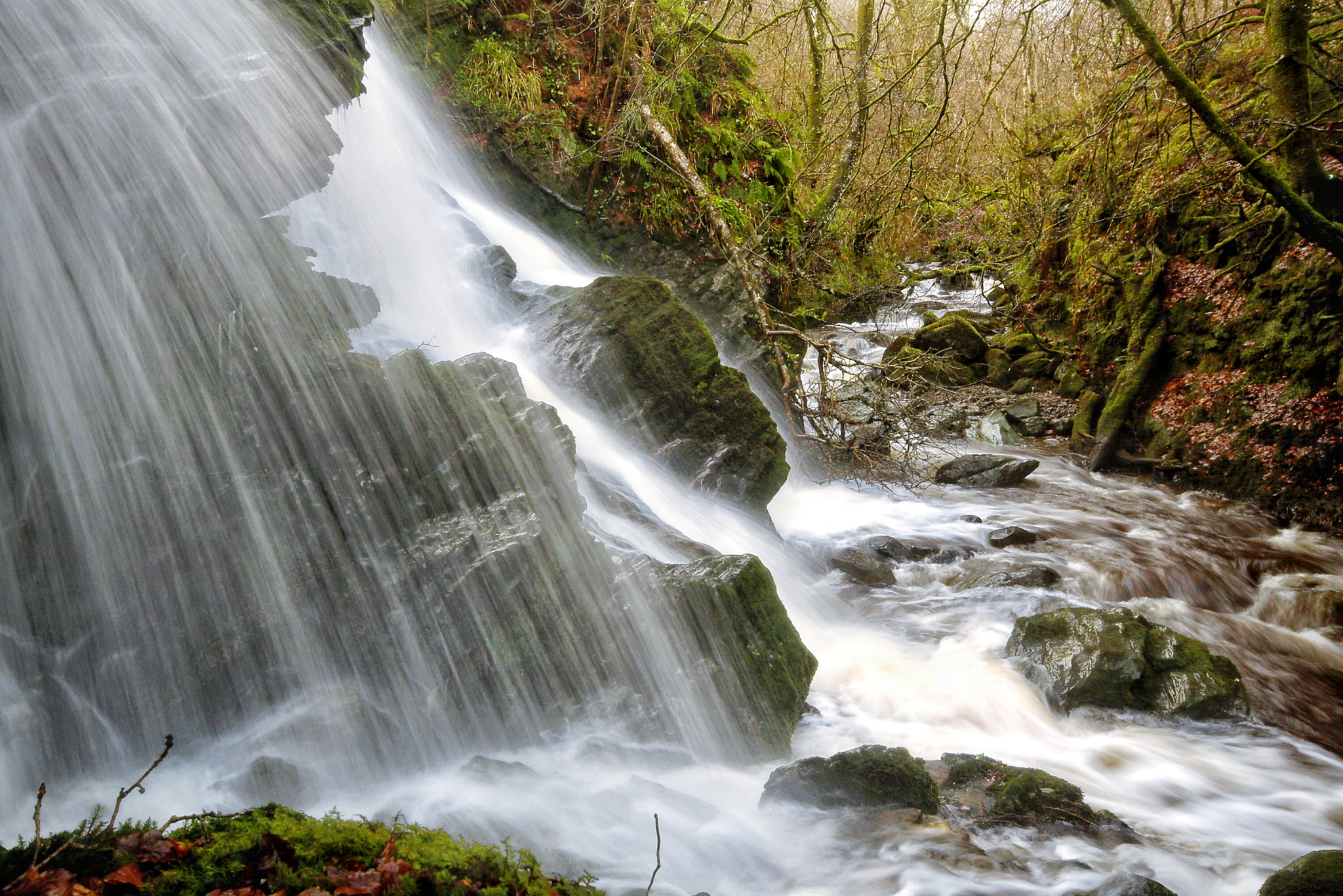 Pentax *ist D sample photo. Kintyre stream in spring. photography