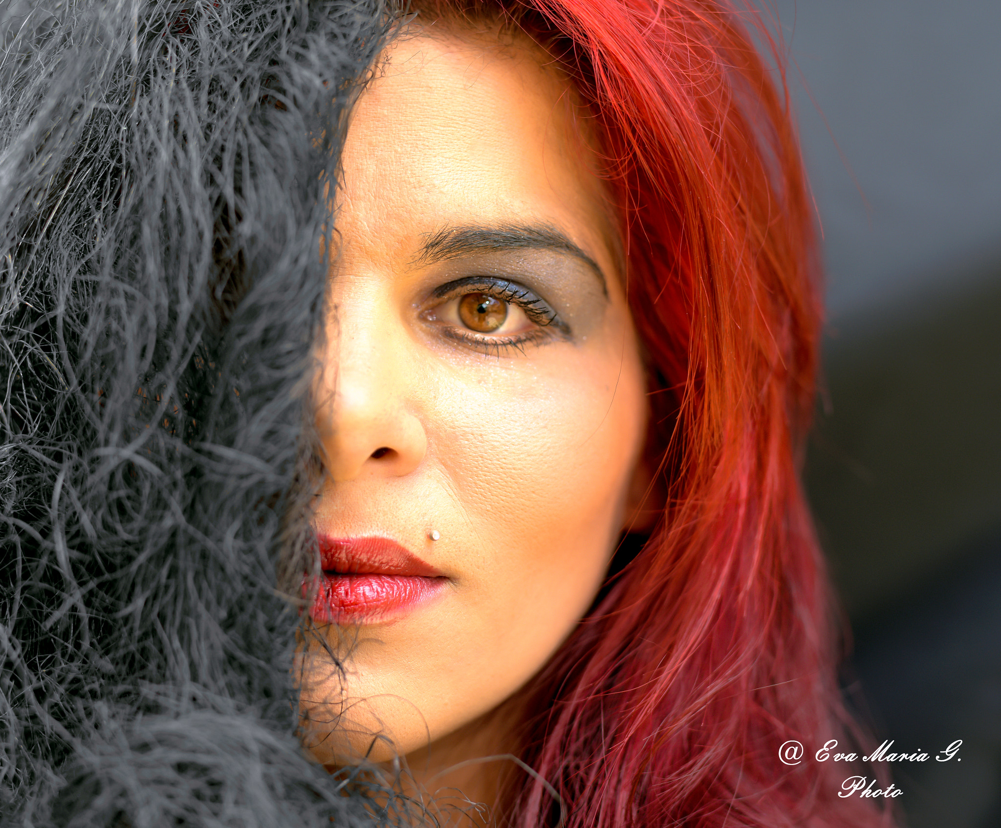 Nikon D810 + Sigma 50mm F1.4 DG HSM Art sample photo