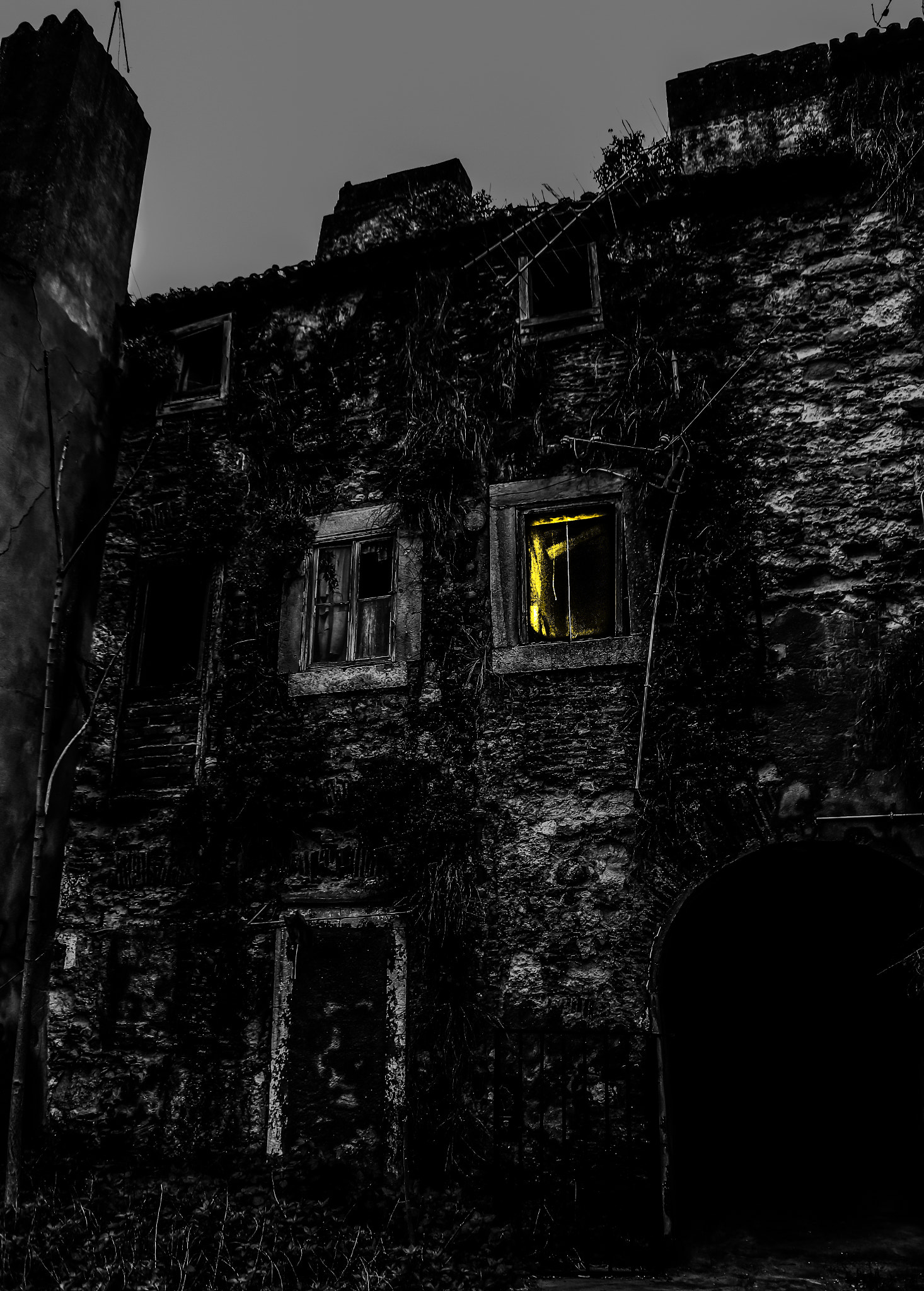Nikon 1 J5 sample photo. That light entered the window of the abandoned hou photography