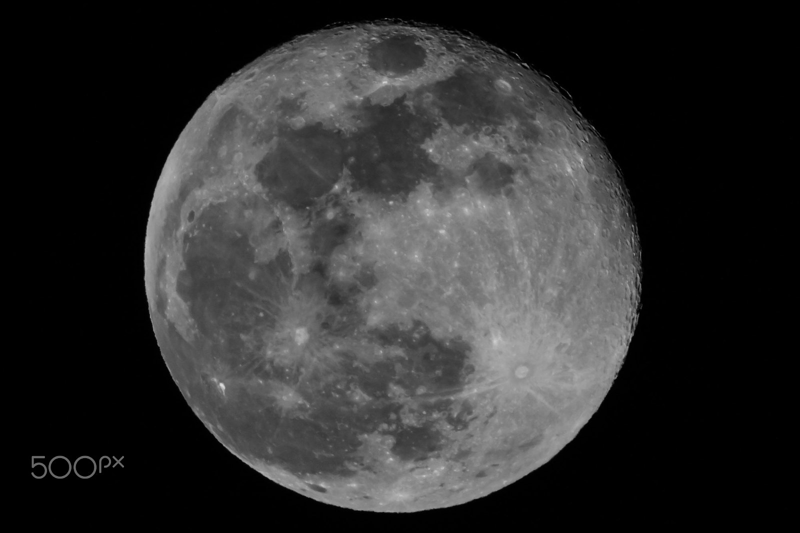 Nikon AF-S Nikkor 200-500mm F5.6E ED VR sample photo. 2013.03.13 20:38 photography