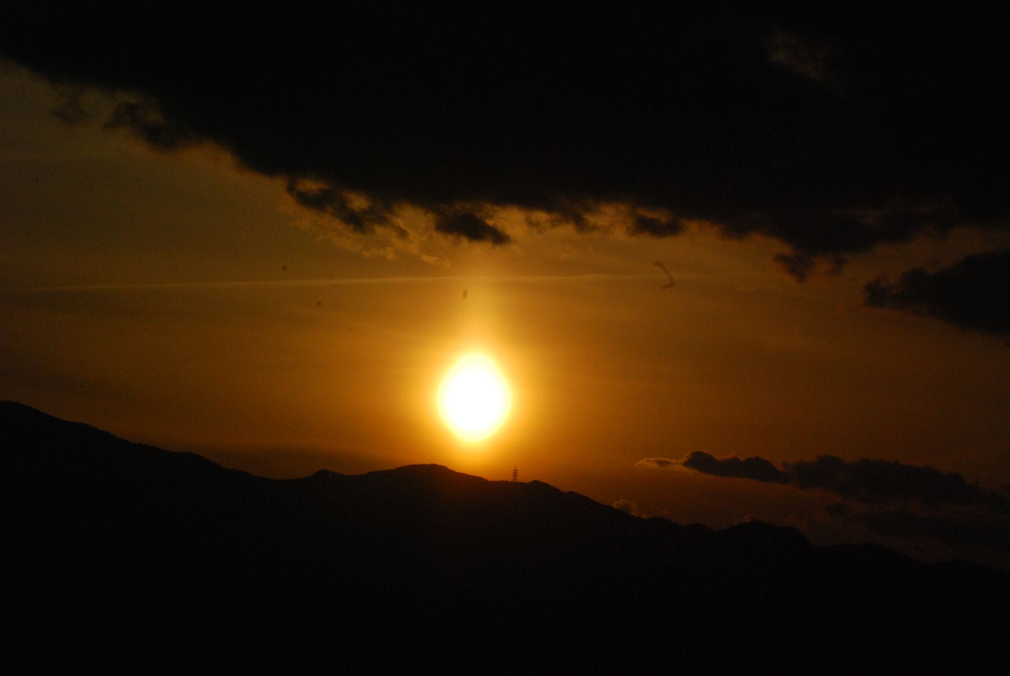 Nikon D40X sample photo