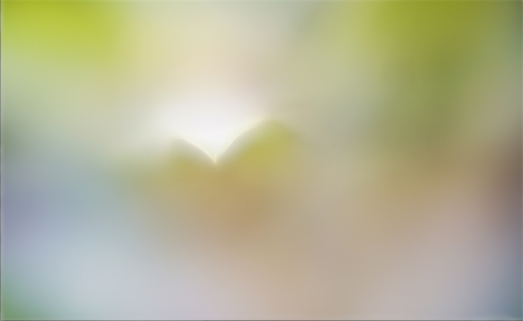 Sony FE 85mm F1.4 GM sample photo. Doch was du sehen willst, siehst du nicht ... photography