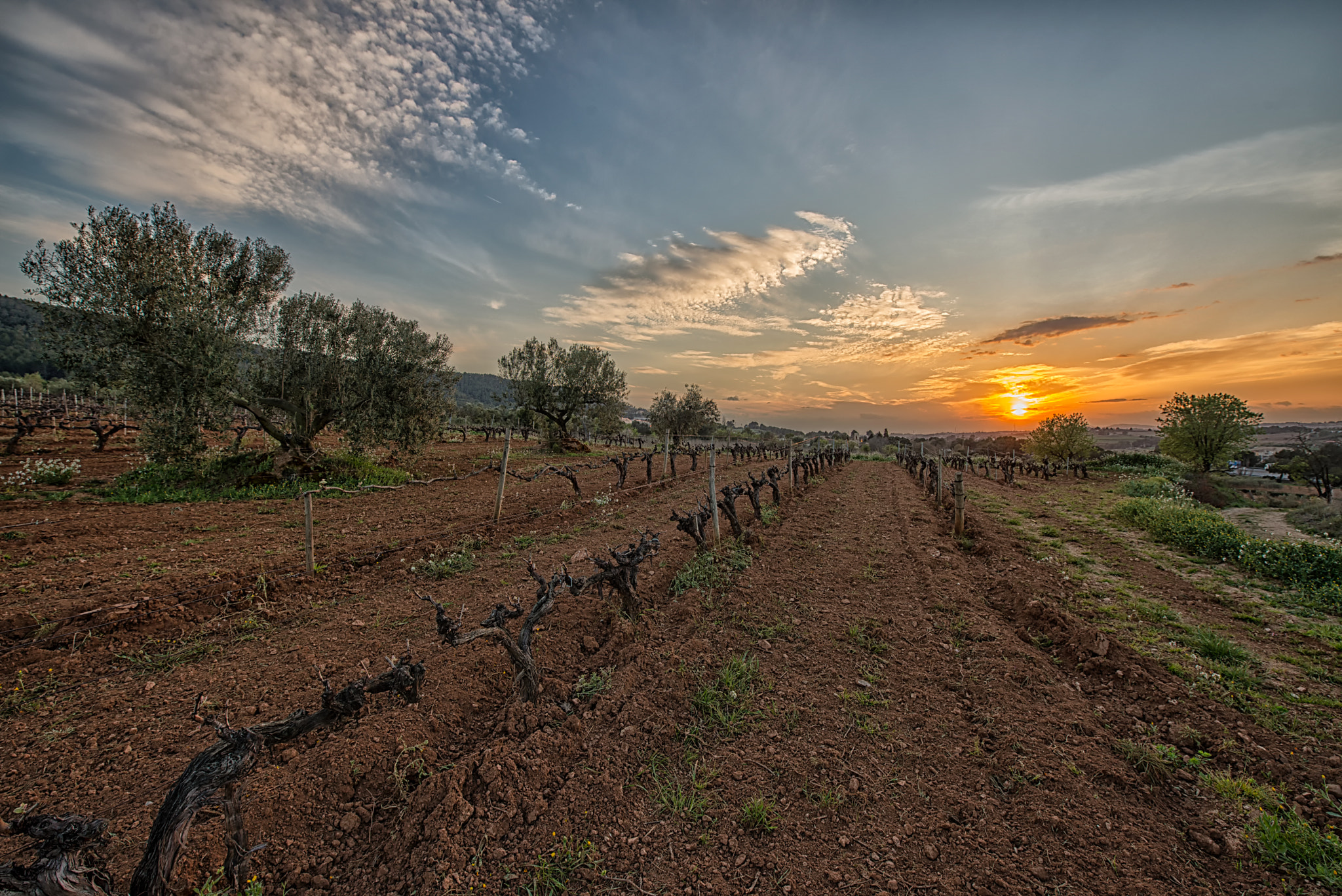 Nikon AF-S Nikkor 14-24mm F2.8G ED sample photo. Tranquil capvespre photography