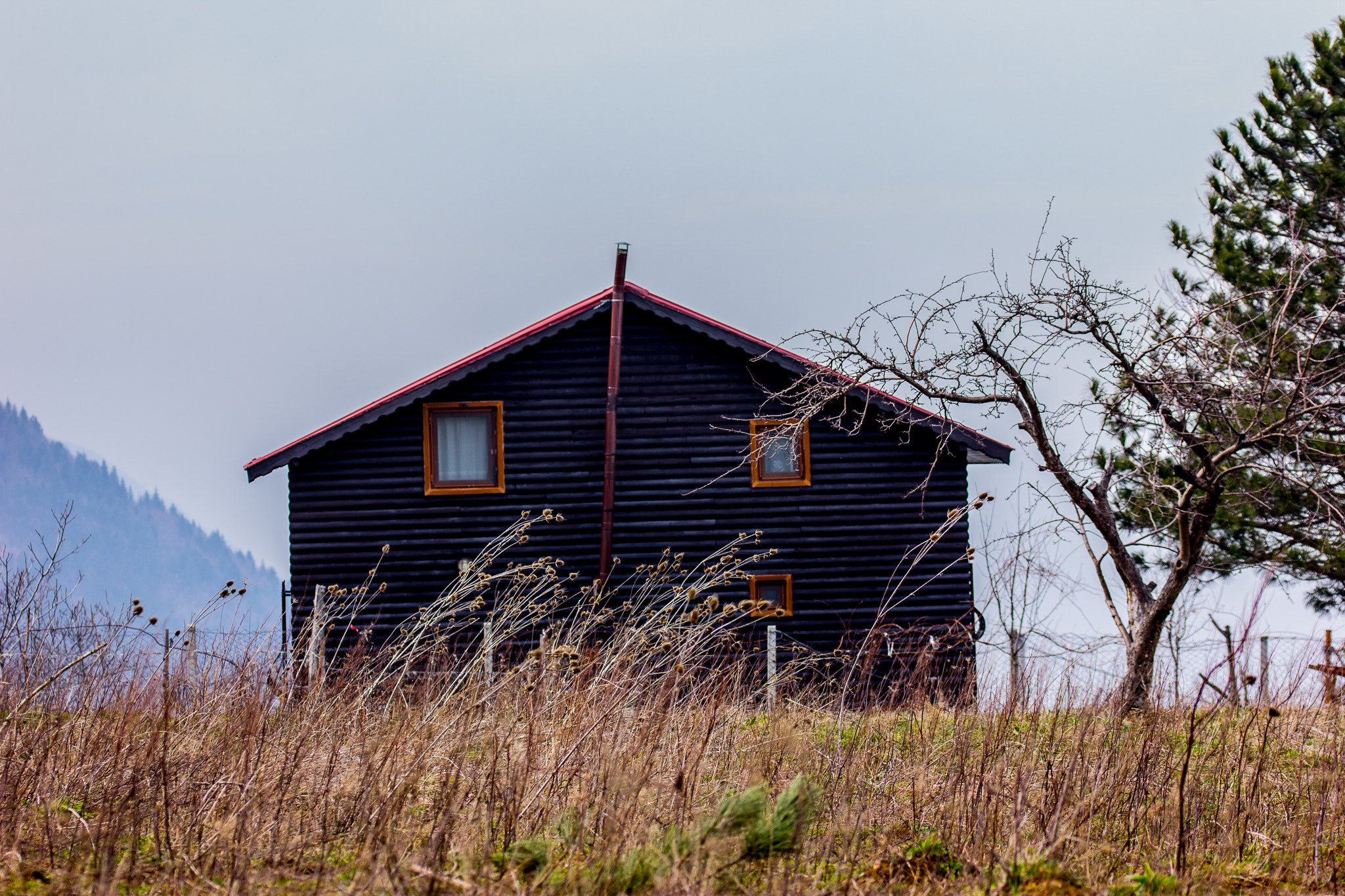 Sigma 105mm F2.8 EX DG OS HSM sample photo. House al. photography