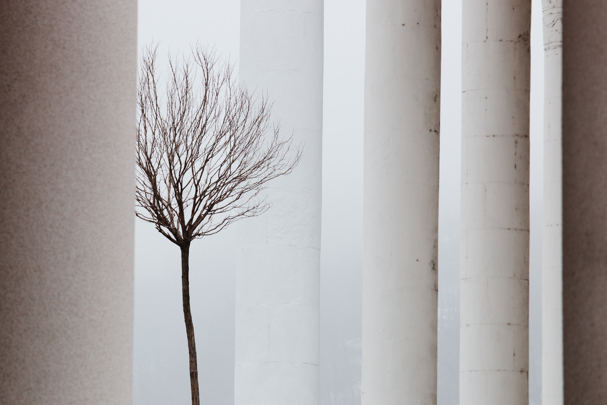 Canon EF-S 55-250mm F4-5.6 IS STM sample photo. White colomns photography