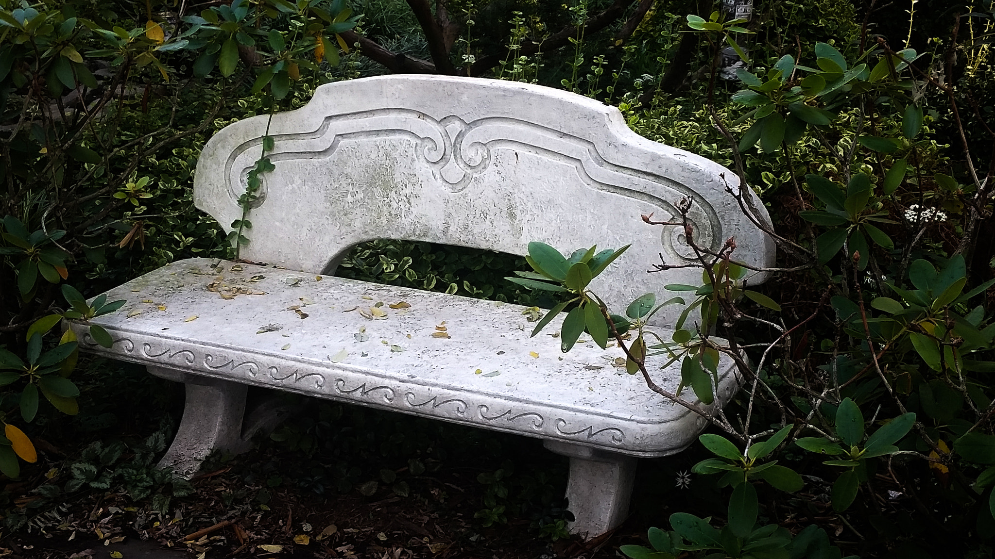 Samsung Galaxy S5 Active sample photo. Bruce's bench in garden photography