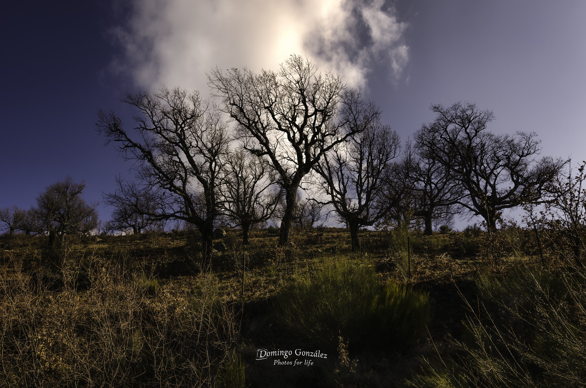 Nikon D7000 + Sigma 18-35mm F1.8 DC HSM Art sample photo. Arañar las nubes photography