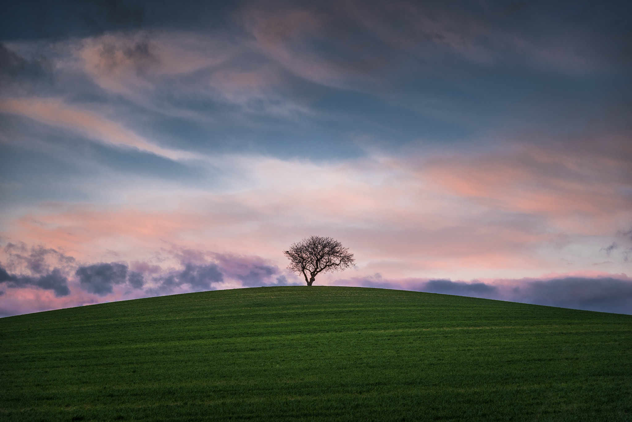 Nikon D750 + Sigma 24-105mm F4 DG OS HSM Art sample photo. Y mientras el sol se esconde. photography