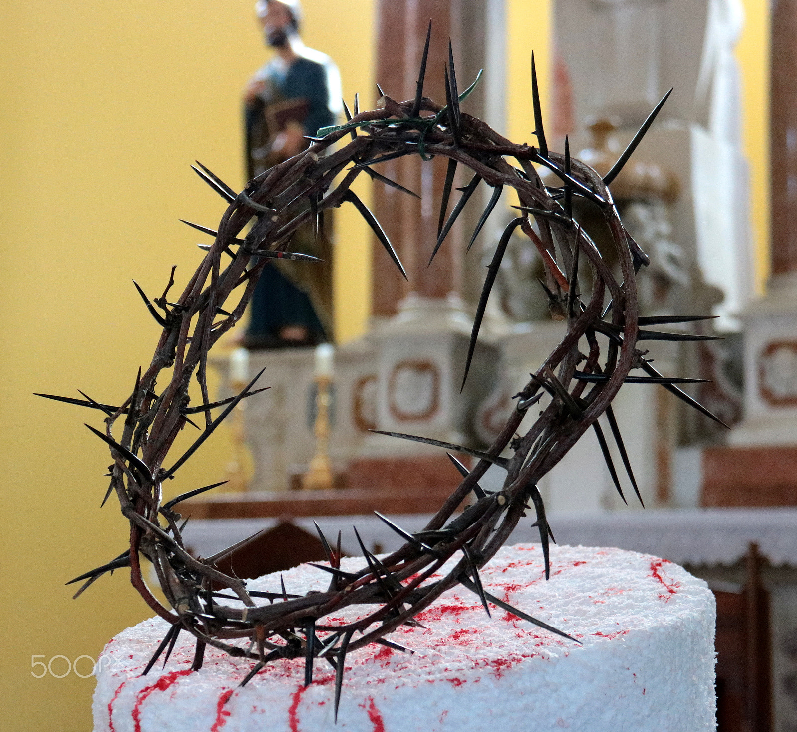 Canon EOS 760D (EOS Rebel T6s / EOS 8000D) sample photo. Crown of thorns photography