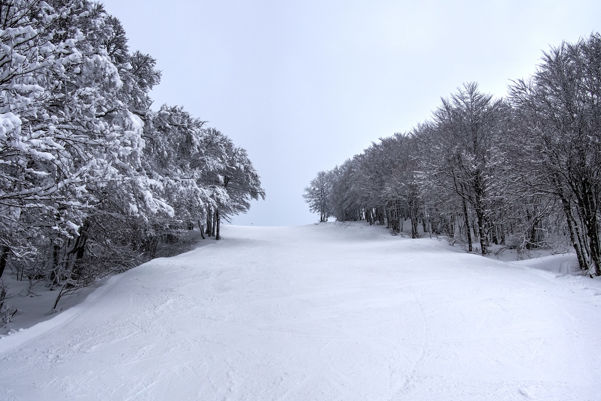 Olympus PEN E-PL5 sample photo. Winter in la bresse photography