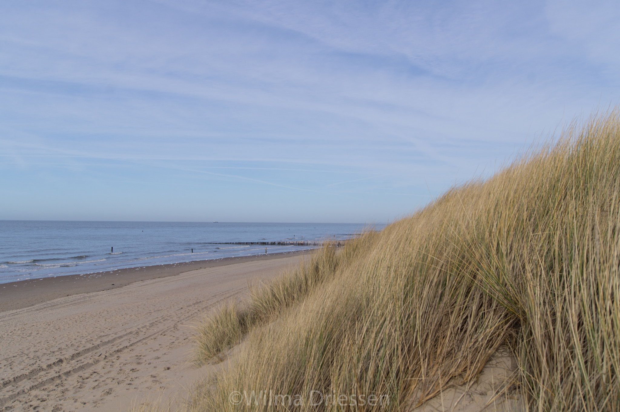 Sony Alpha DSLR-A580 + Sony DT 18-55mm F3.5-5.6 SAM sample photo. Domburg photography