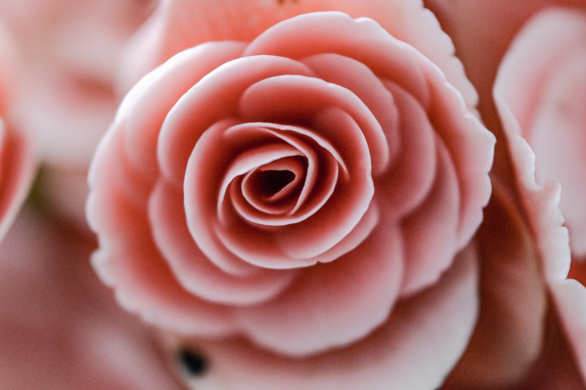 Canon EOS 700D (EOS Rebel T5i / EOS Kiss X7i) + Canon EF 50mm F1.8 II sample photo. Pink flower for women's day photography