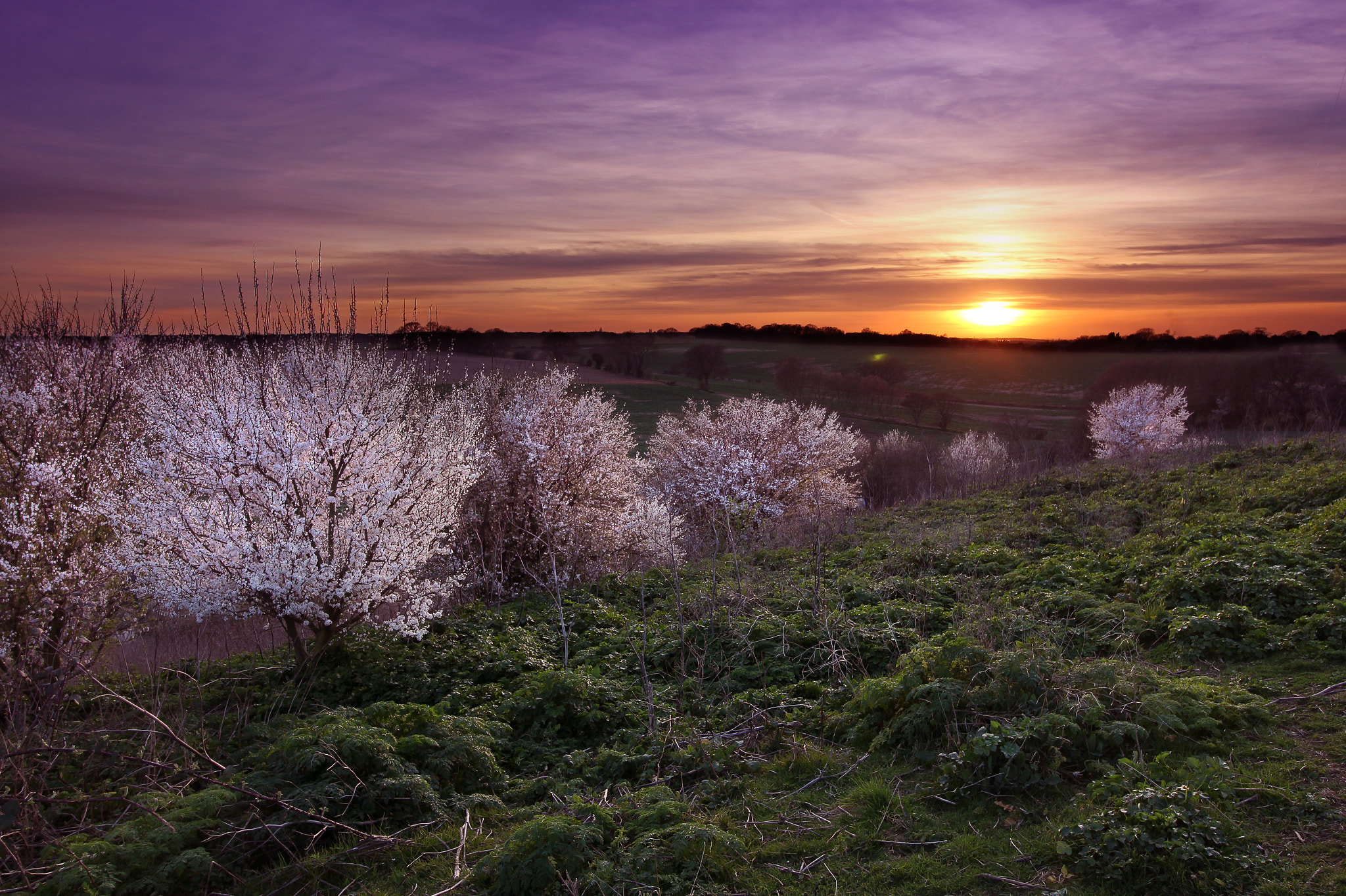 Canon EOS 550D (EOS Rebel T2i / EOS Kiss X4) sample photo. Sunset over the ridgeway photography