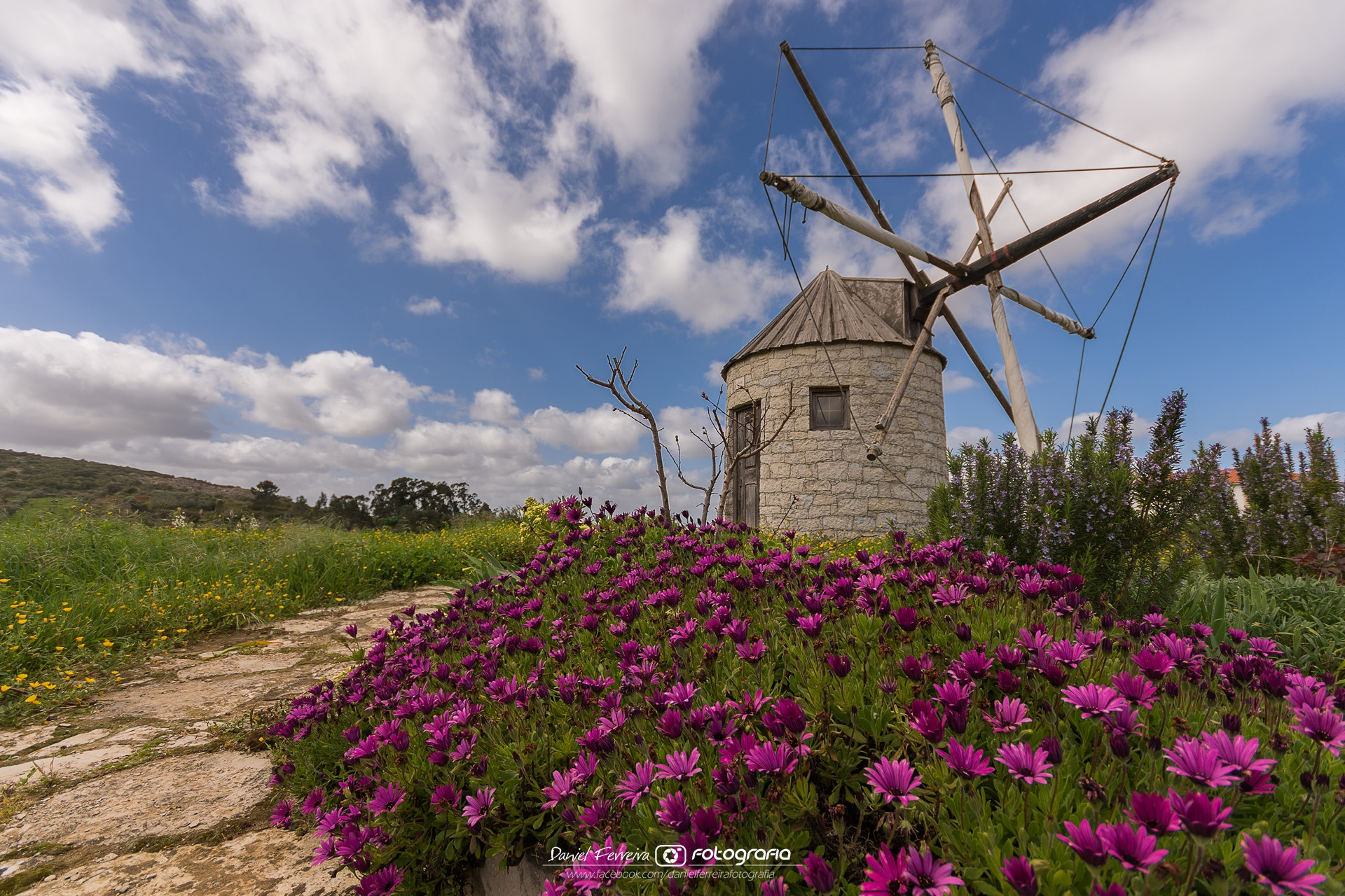 Sigma 10-20mm F4-5.6 EX DC HSM sample photo. NÃo desistas de mim photography