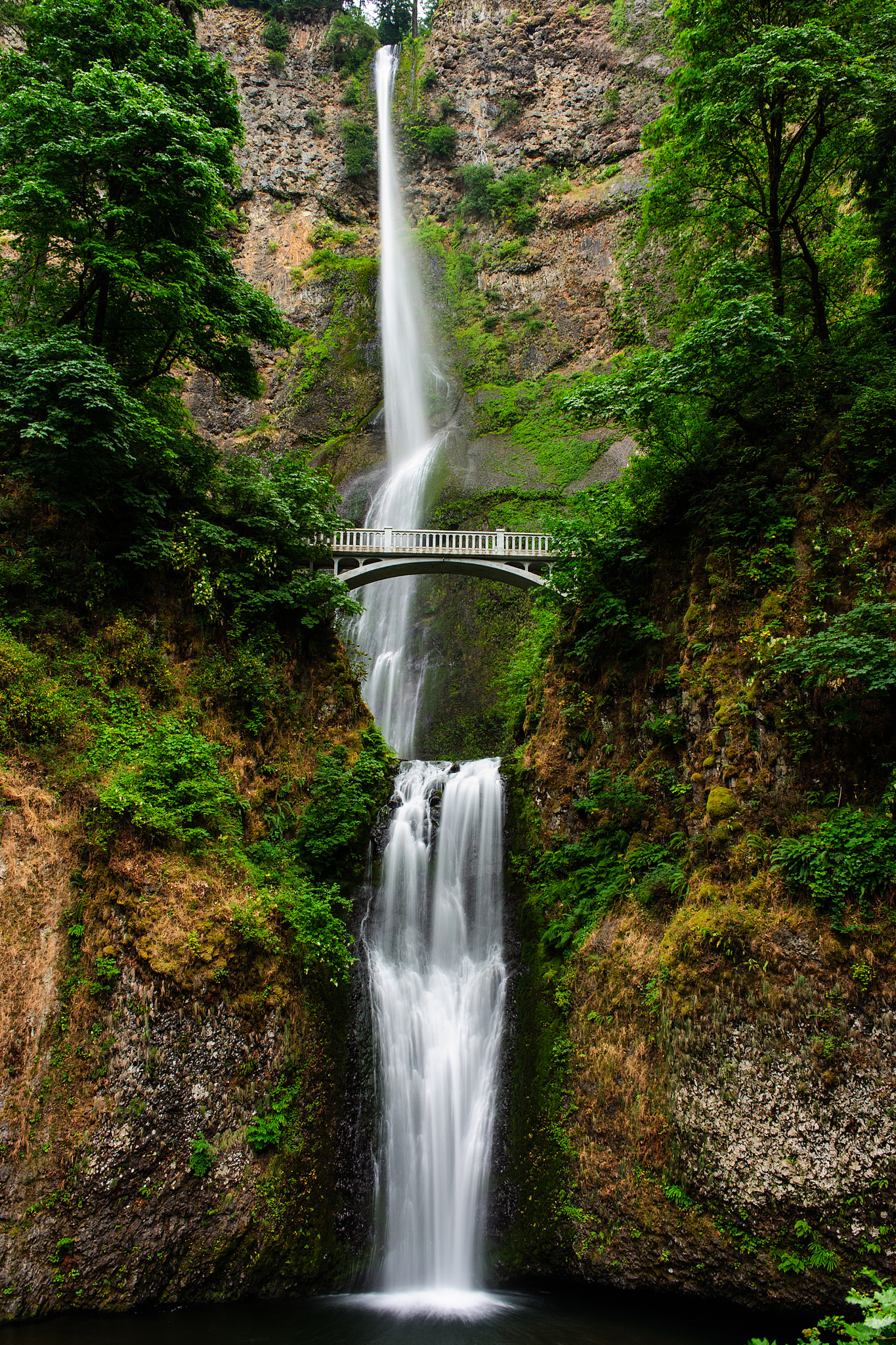 Nikon D3S sample photo. Multnomah falls photography