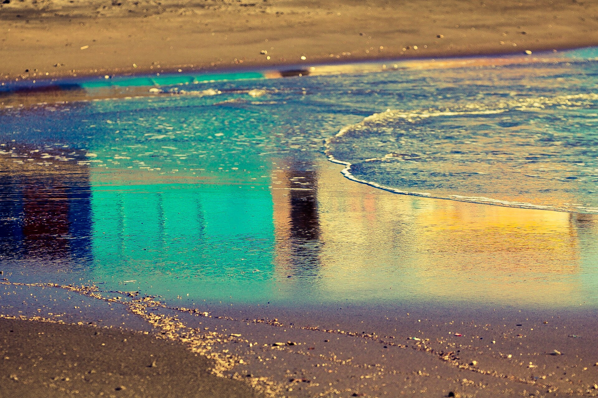 Sigma APO Macro 150mm f/2.8 EX DG HSM sample photo. The many colors of the sea photography