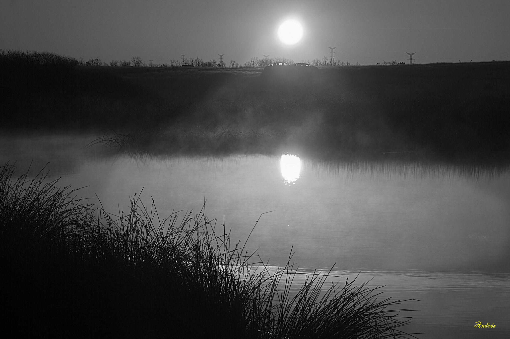 Canon EOS 1000D (EOS Digital Rebel XS / EOS Kiss F) sample photo. Niebla al amanecer photography
