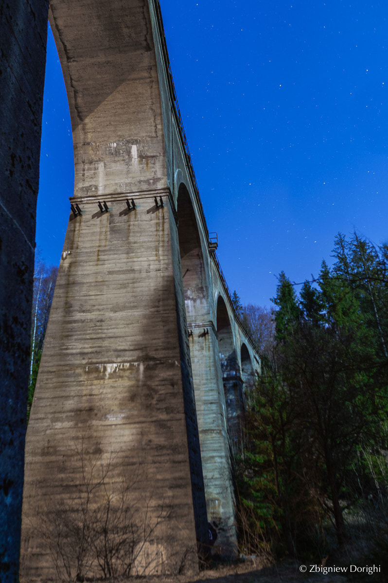 Nikon D700 sample photo. Railway viaduct at night photography