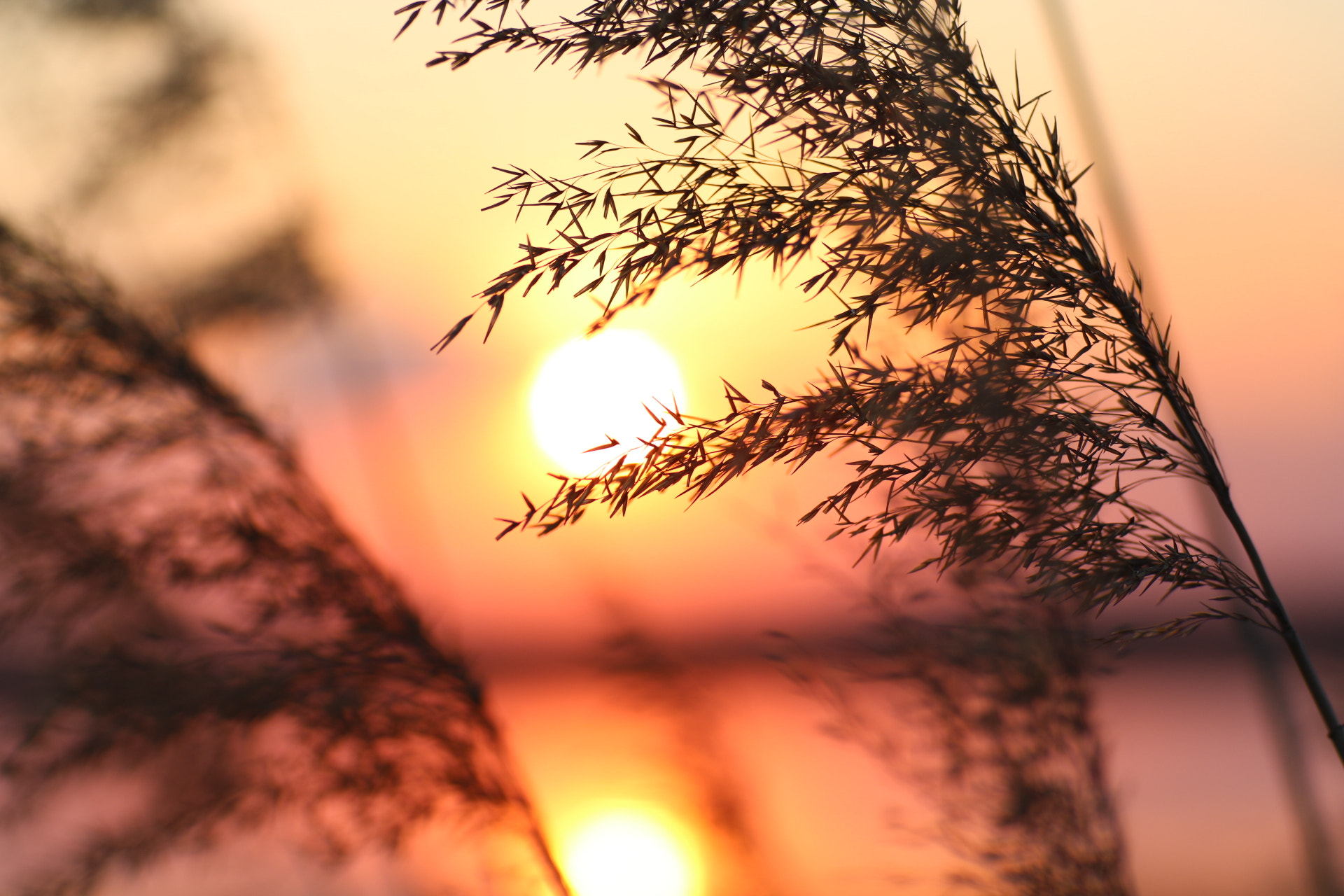 Canon EF 35-80mm f/4-5.6 sample photo