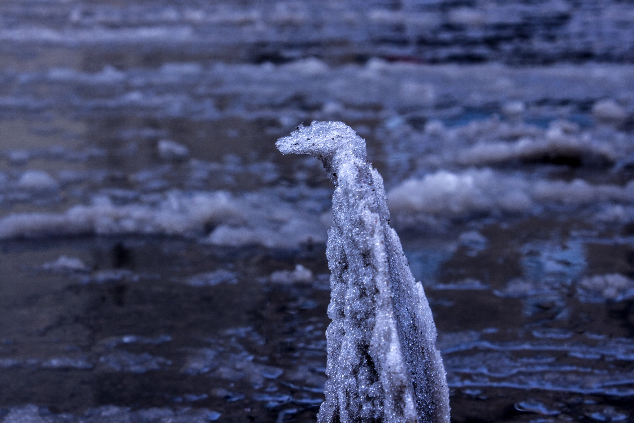 Canon EF-S 18-55mm F3.5-5.6 IS sample photo. Coward snow photography