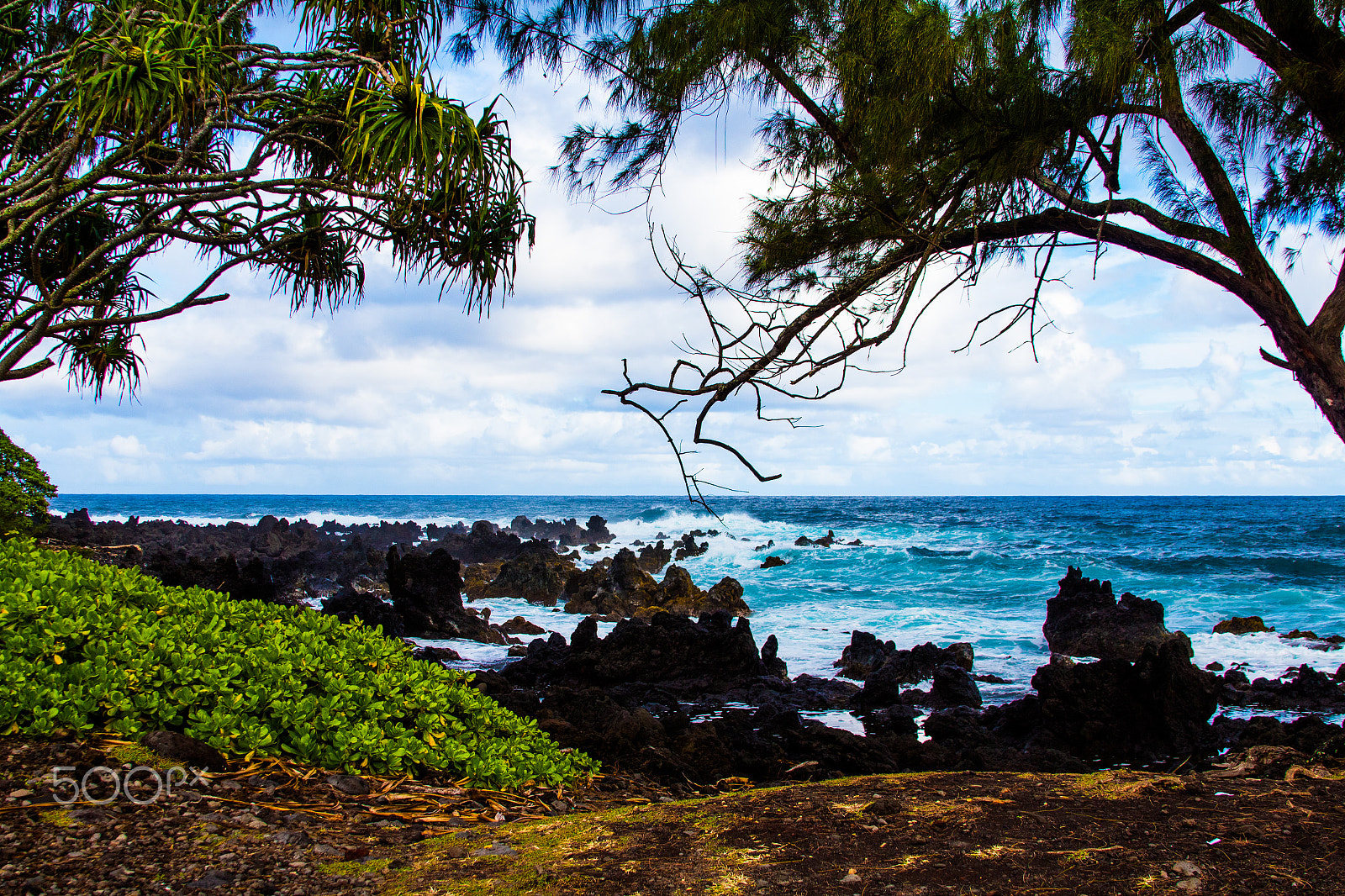 Canon EF 28-135mm F3.5-5.6 IS USM sample photo. Coastal hawaii photography