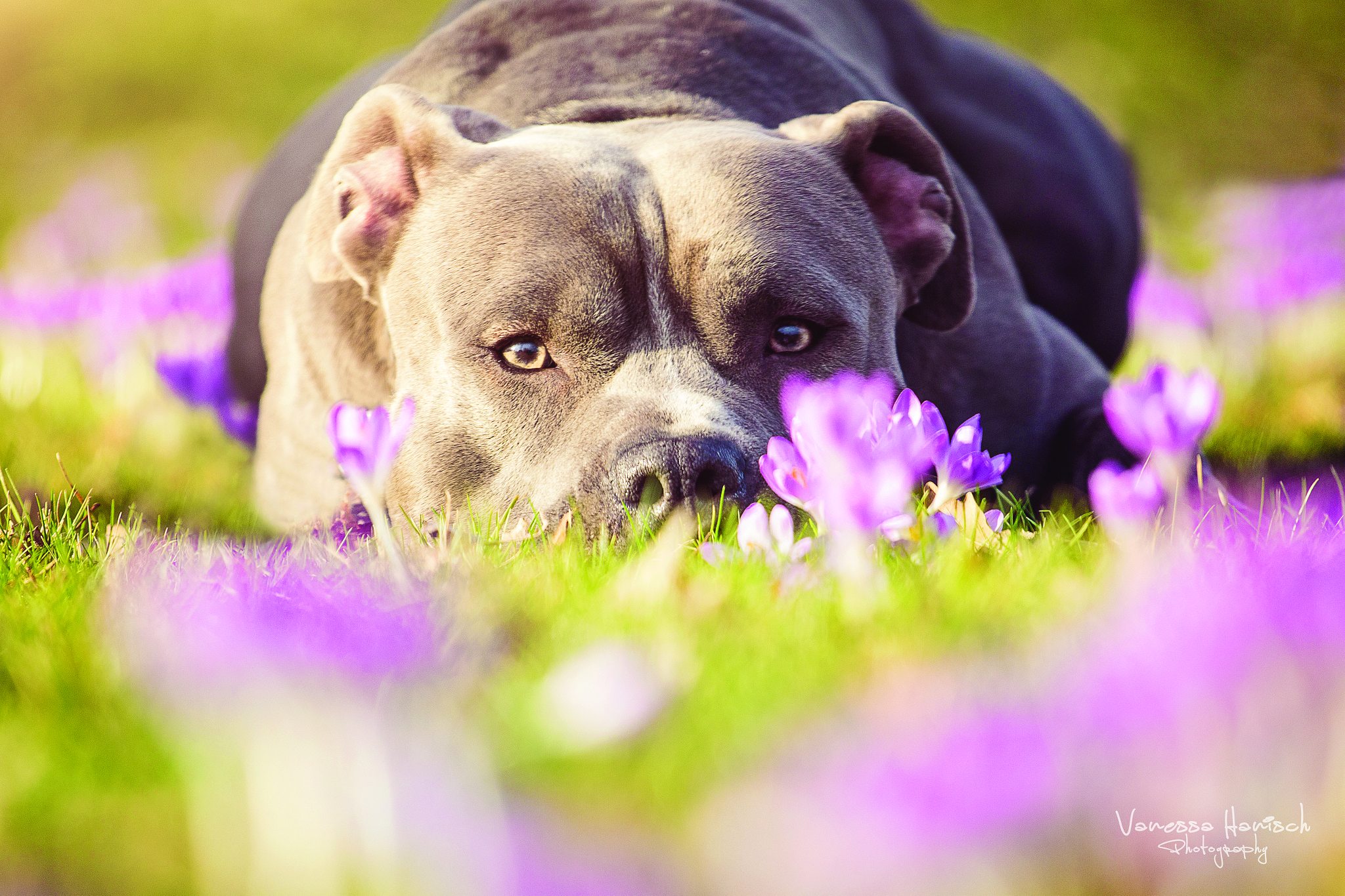 Canon EF 70-200mm F4L USM sample photo. Keto photography