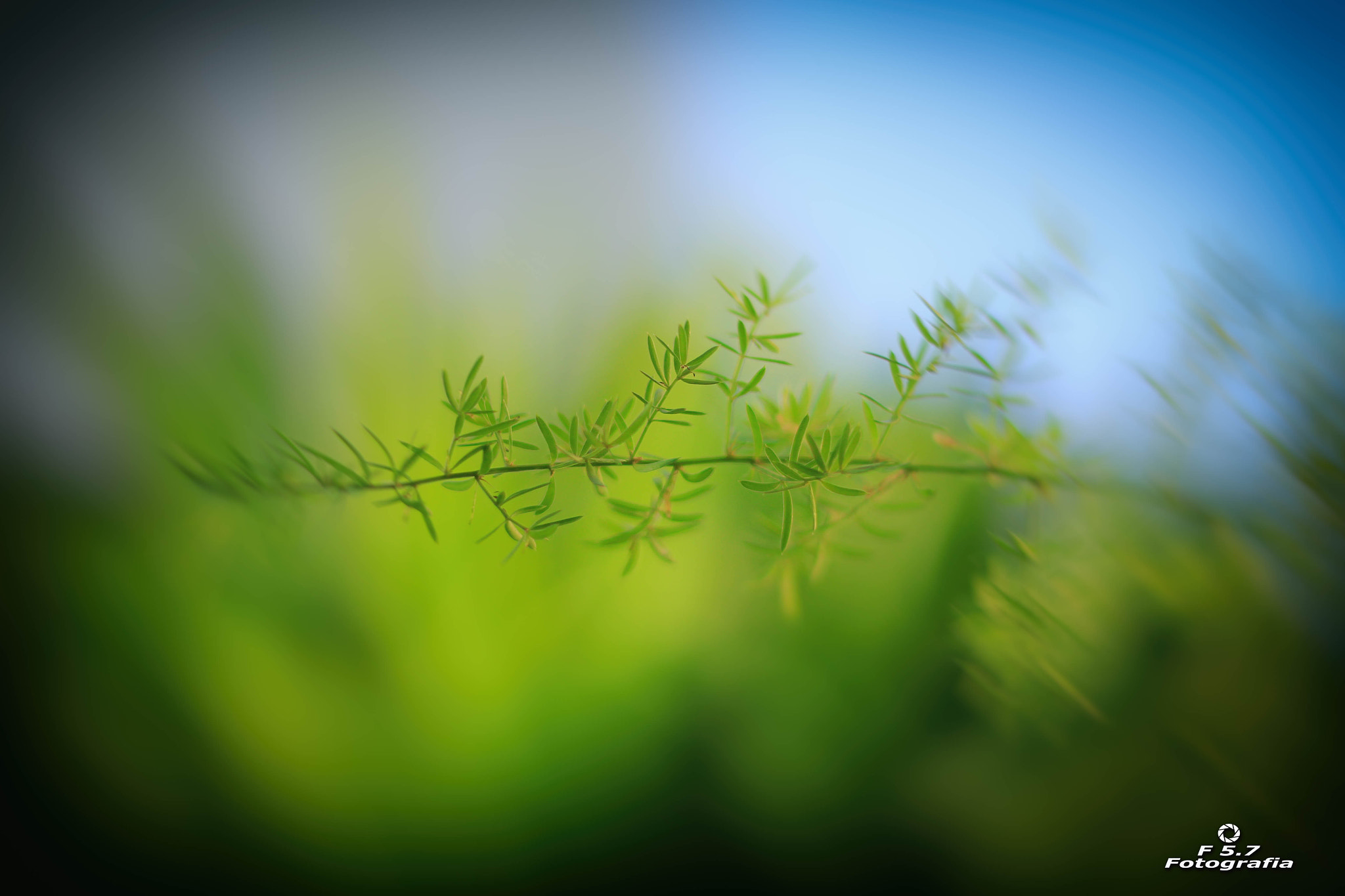 Canon EOS 7D + Canon EF 50mm F1.8 STM sample photo. Pintura photography